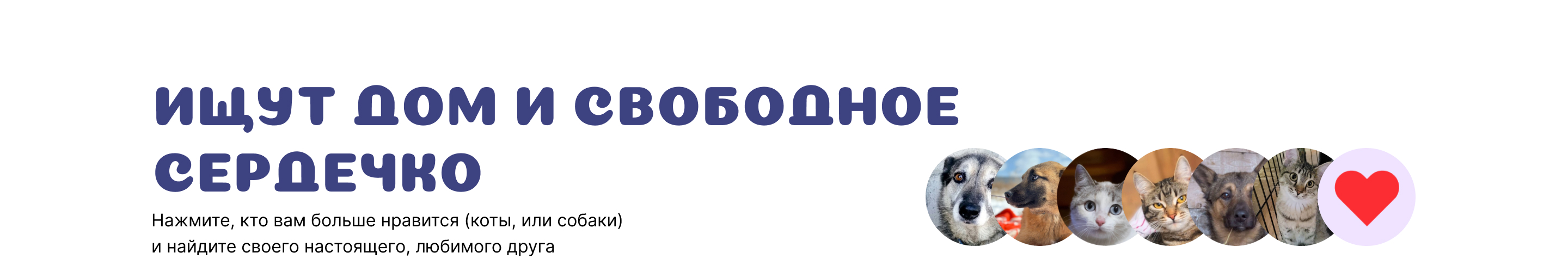 Приют для животных Верность — Изображение №2 — Иллюстрация, Графика на Dprofile