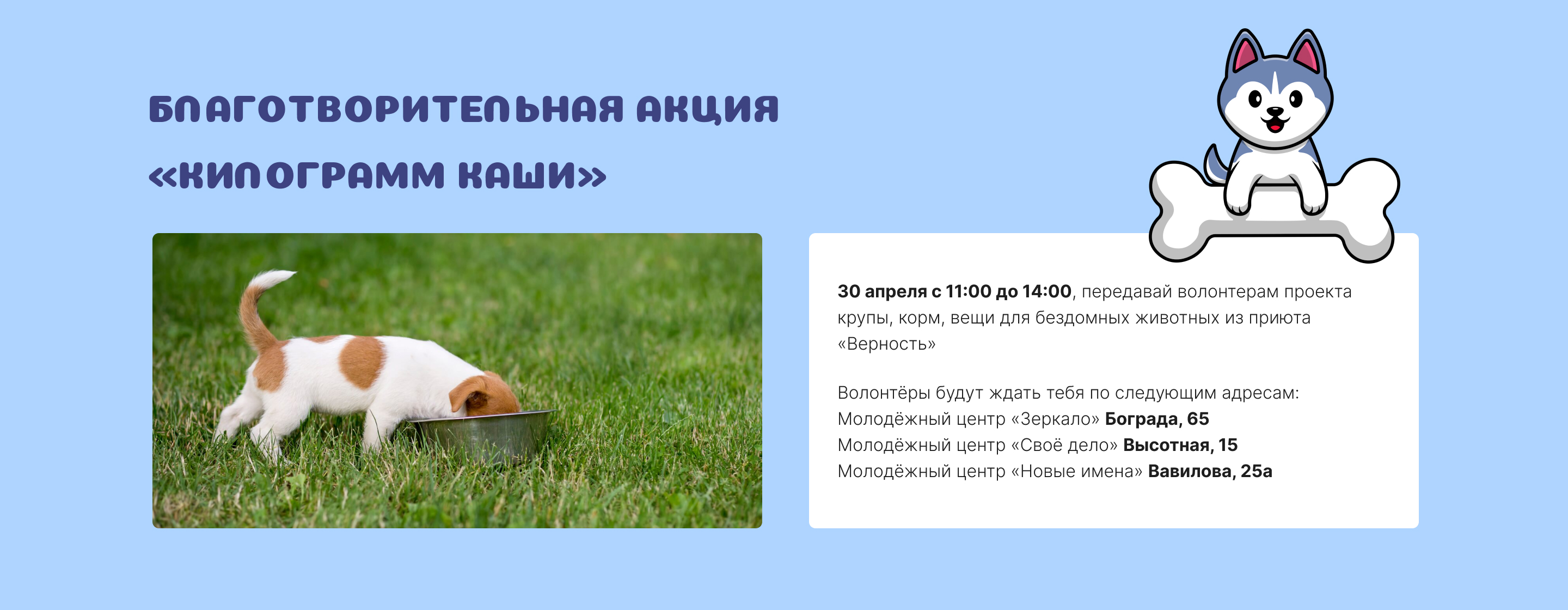 Приют для животных Верность — Изображение №7 — Иллюстрация, Графика на Dprofile