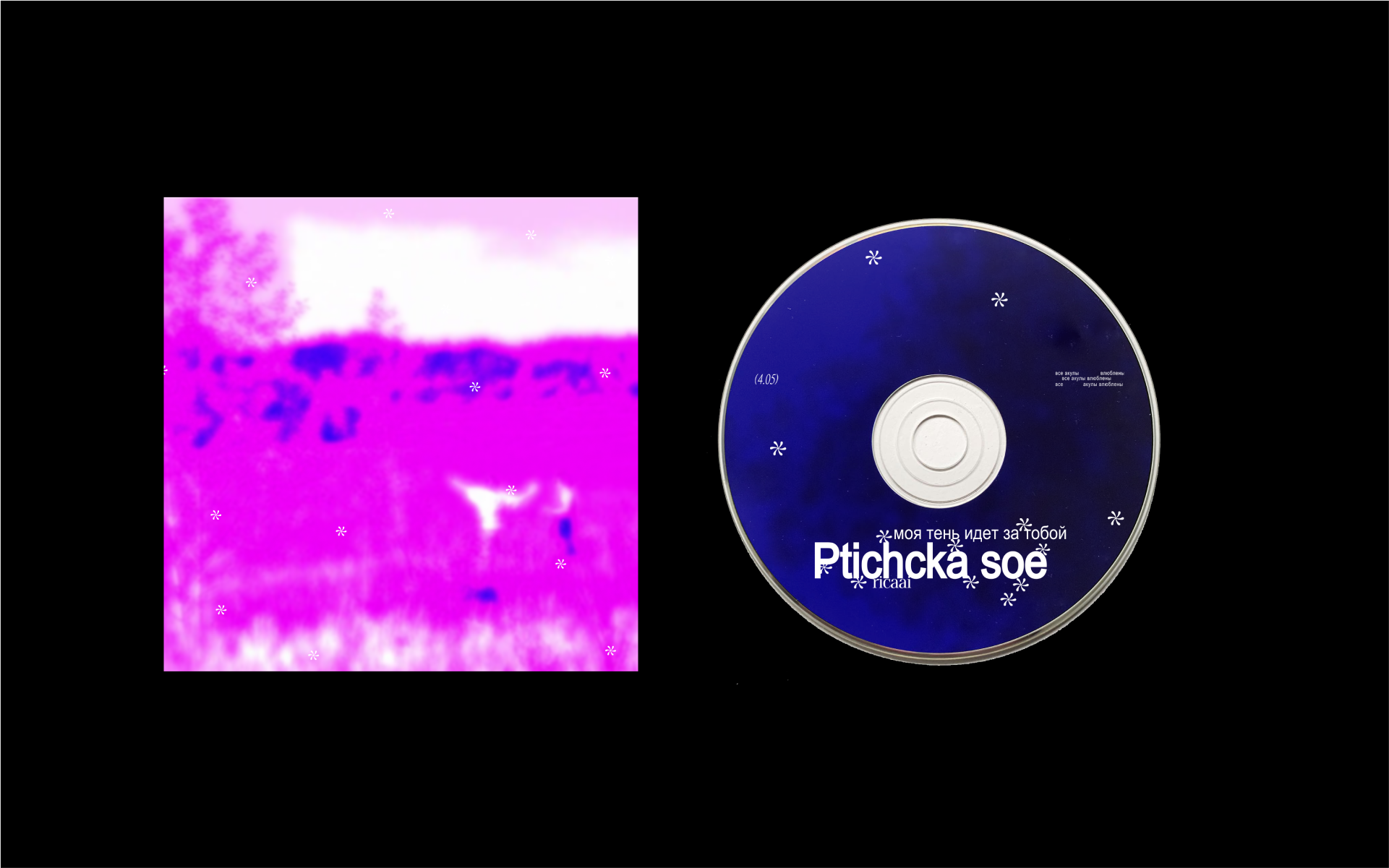 Обложка и оформление релиза для Ptichka soe — Изображение №4 — Брендинг, Иллюстрация на Dprofile