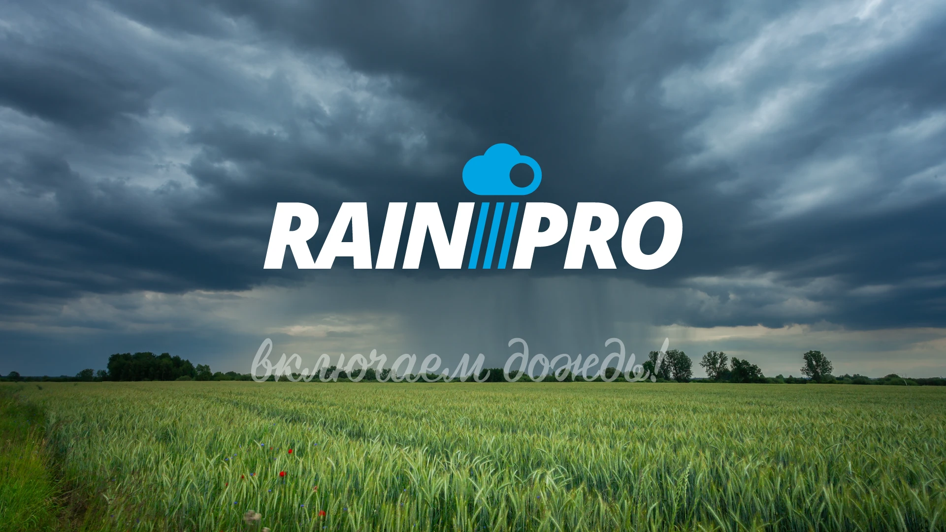 RAINPRO | Ребрендинг | Платформа бренда — Изображение №1 — Брендинг на Dprofile