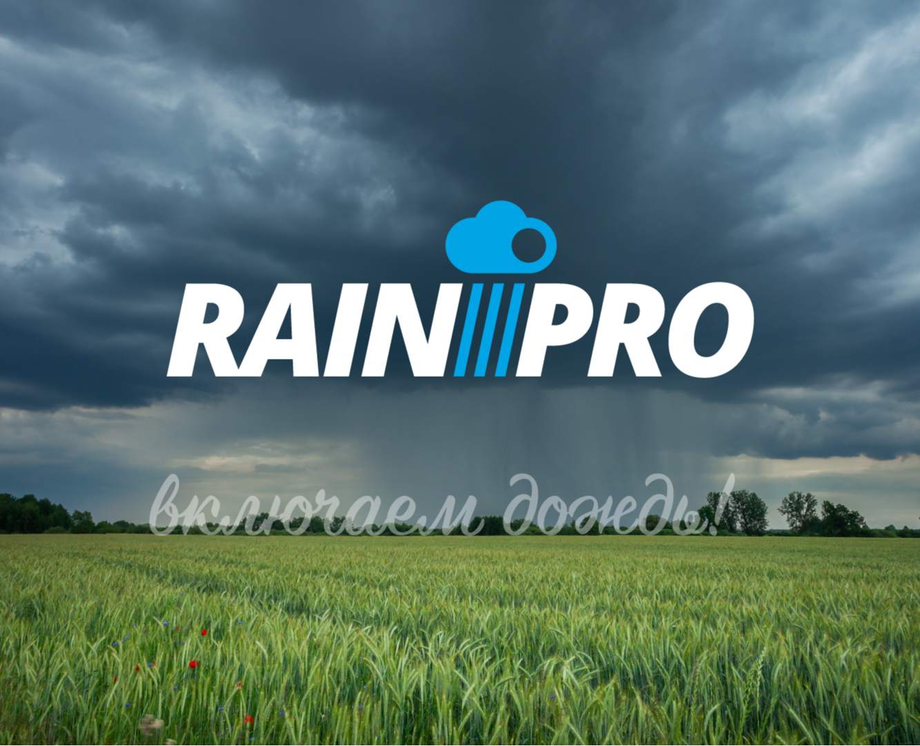 RAINPRO | Ребрендинг | Платформа бренда на Dprofile