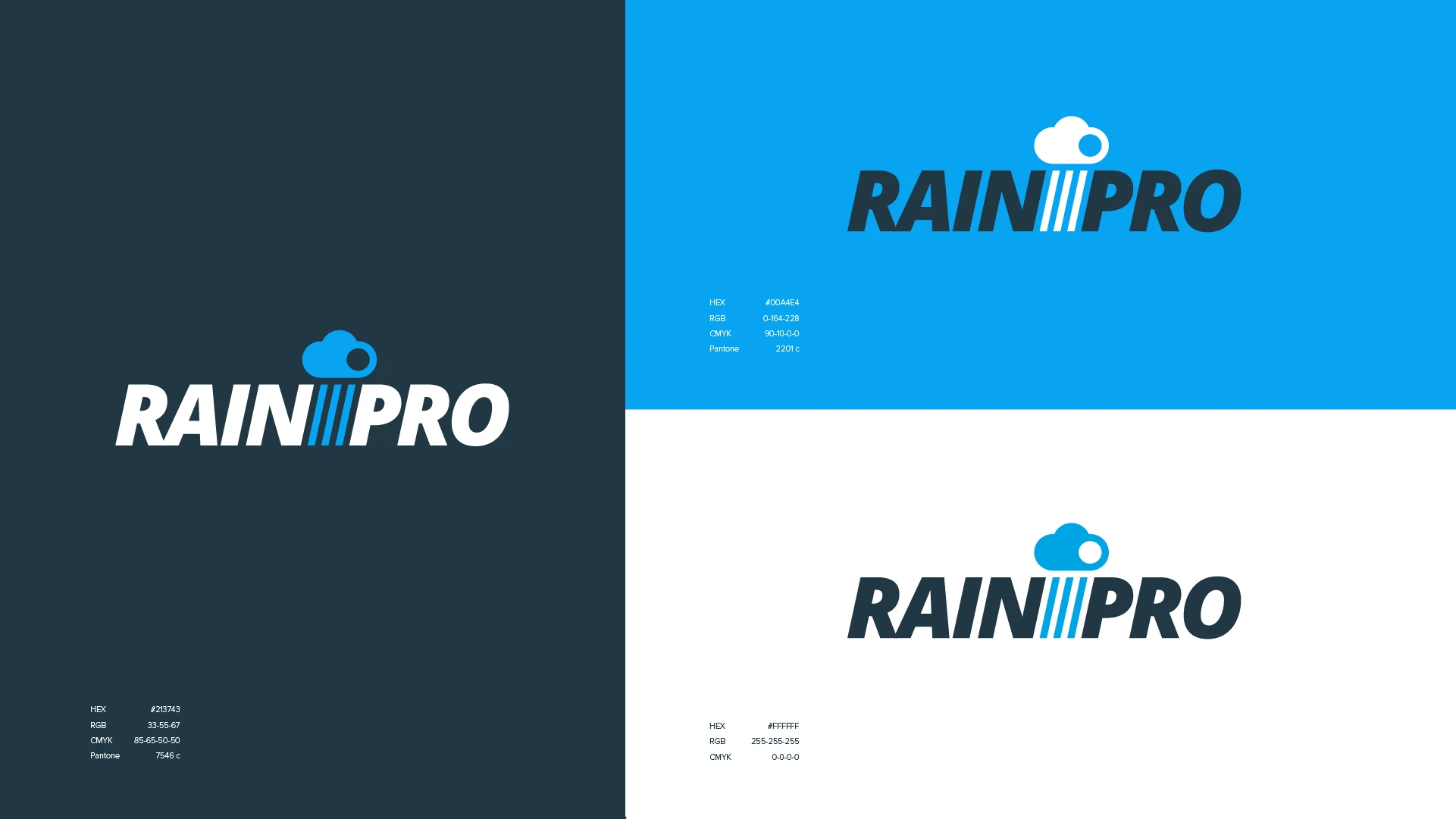 RAINPRO | Ребрендинг | Платформа бренда — Изображение №6 — Брендинг на Dprofile