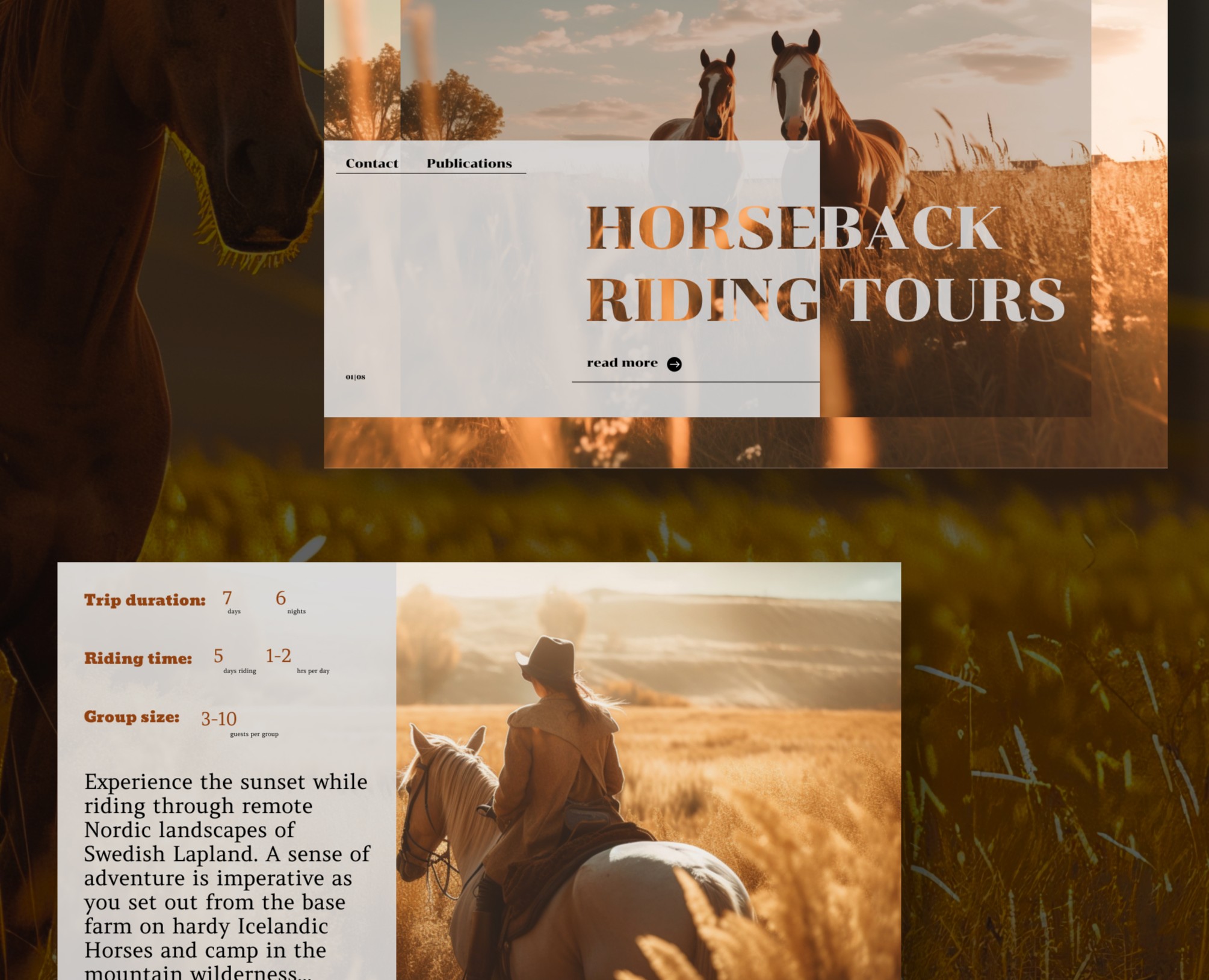 HORSEBACK RIDING TOURS — Интерфейсы на Dprofile