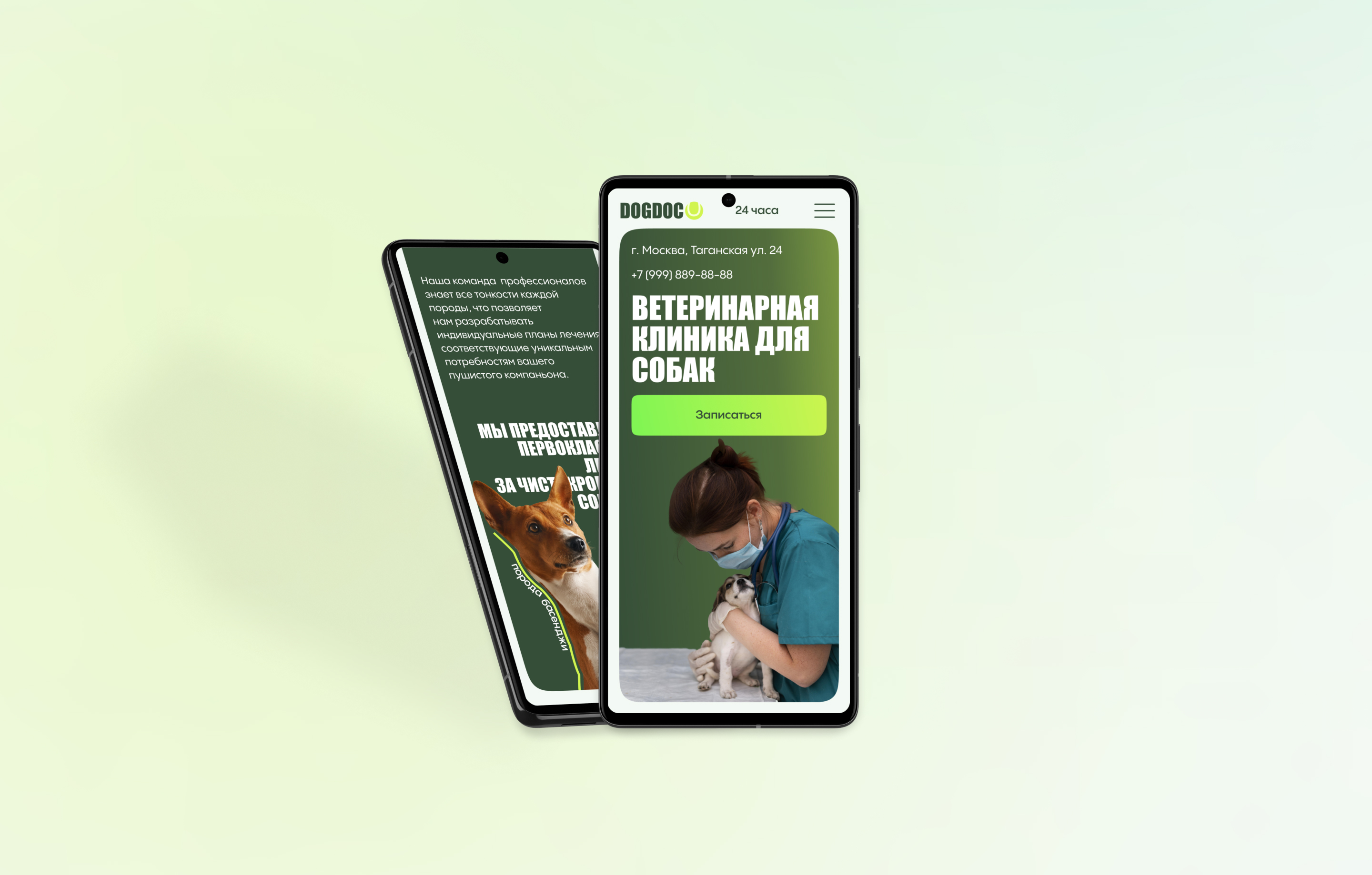 Landing для ветеринарной клиники. Docdog — Изображение №19 — Интерфейсы на Dprofile
