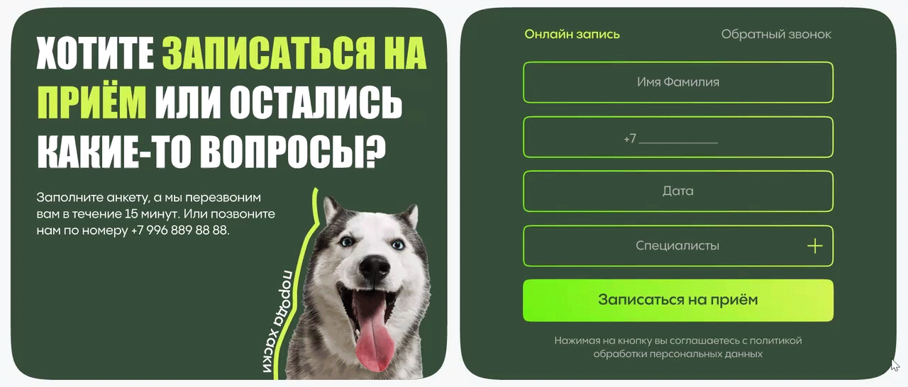 Landing для ветеринарной клиники. Docdog — Изображение №12 — Интерфейсы на Dprofile
