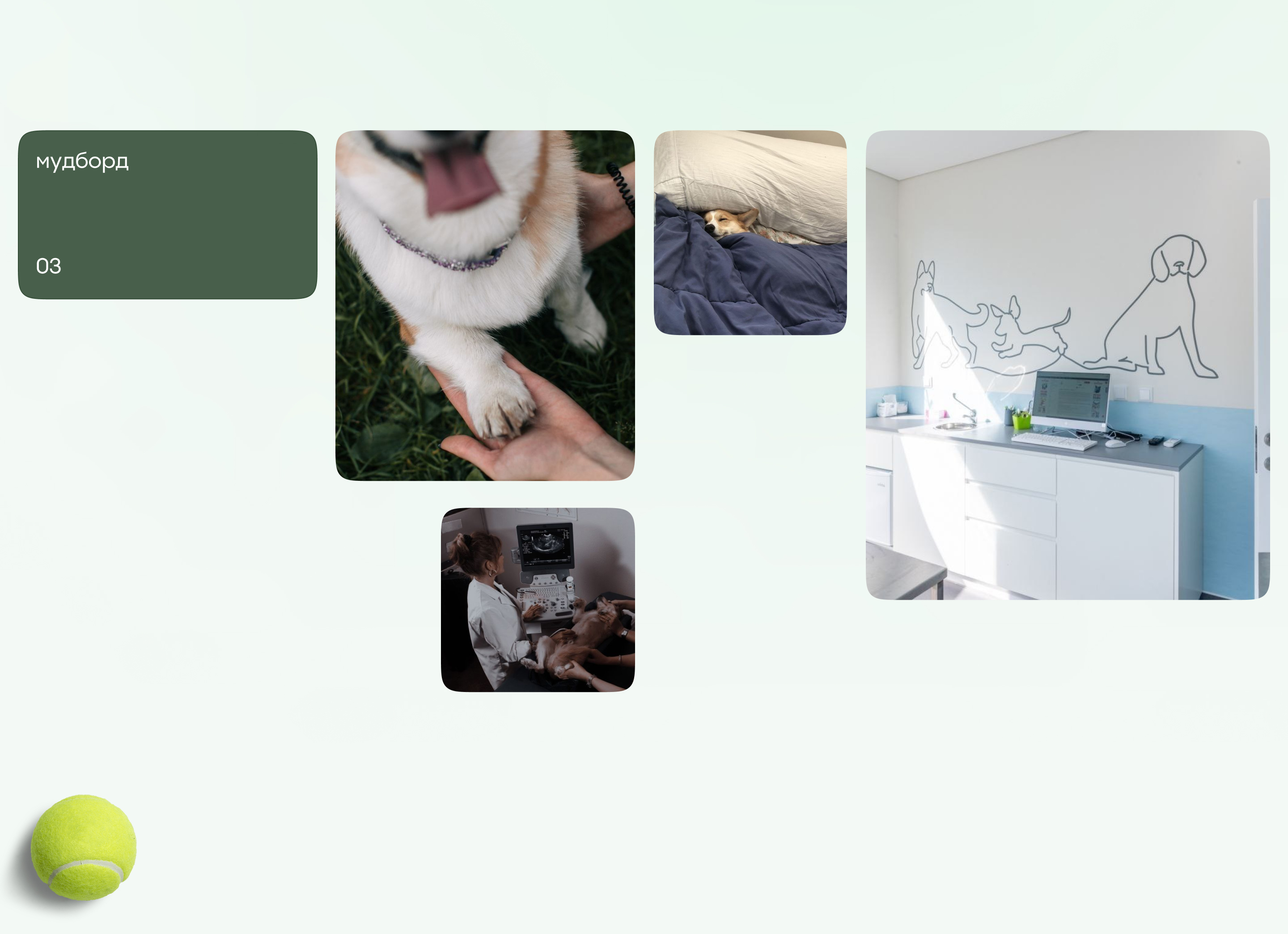 Landing для ветеринарной клиники. Docdog — Изображение №9 — Интерфейсы на Dprofile