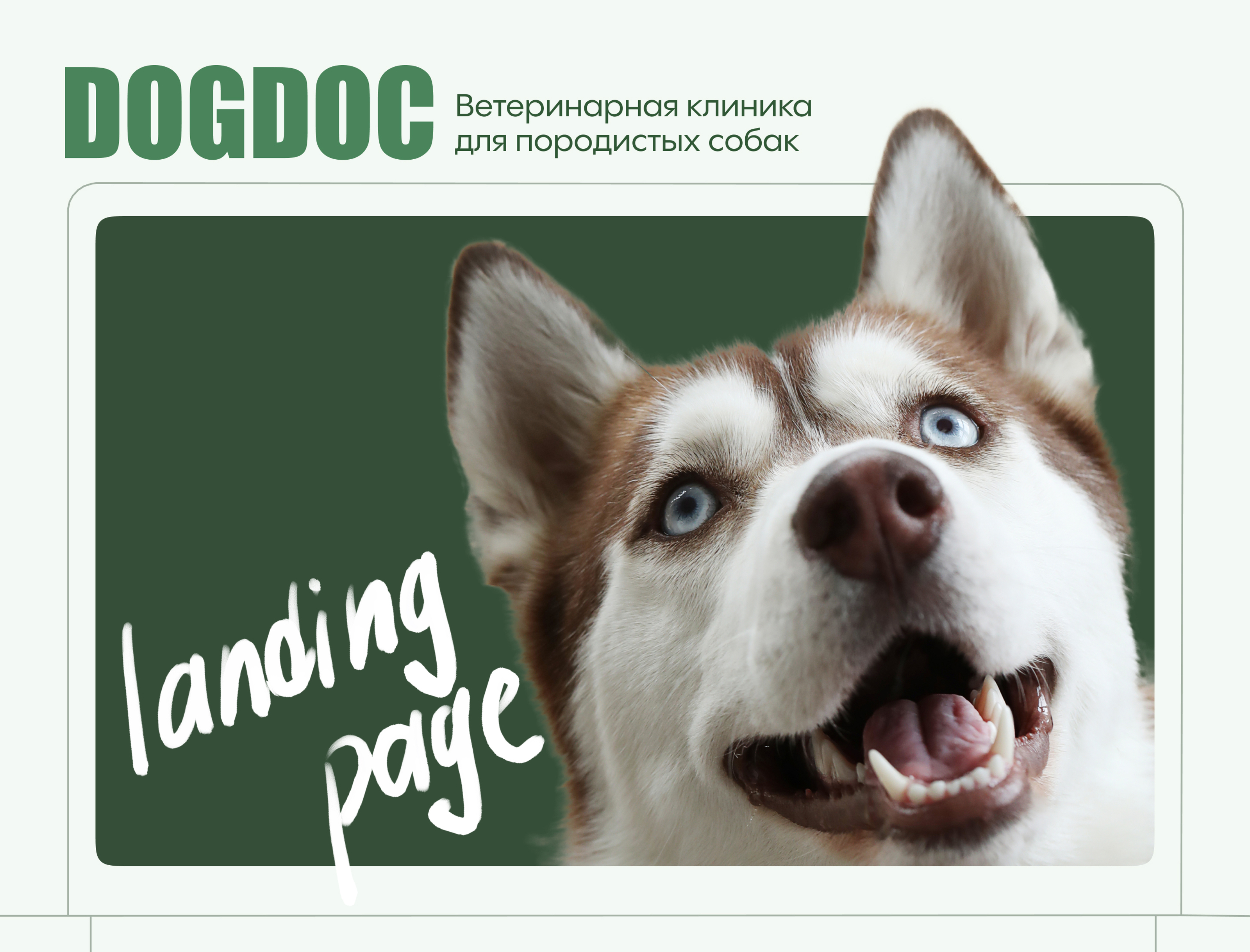 Landing для ветеринарной клиники. Docdog — Изображение №1 — Интерфейсы на Dprofile