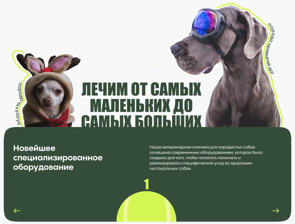 Landing для ветеринарной клиники. Docdog — Изображение №7 — Интерфейсы на Dprofile