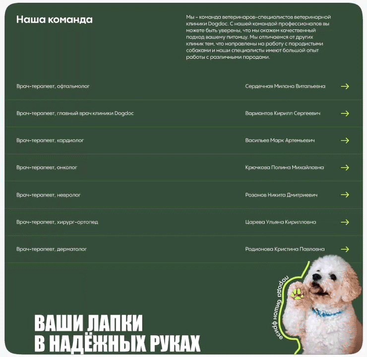 Landing для ветеринарной клиники. Docdog — Изображение №10 — Интерфейсы на Dprofile