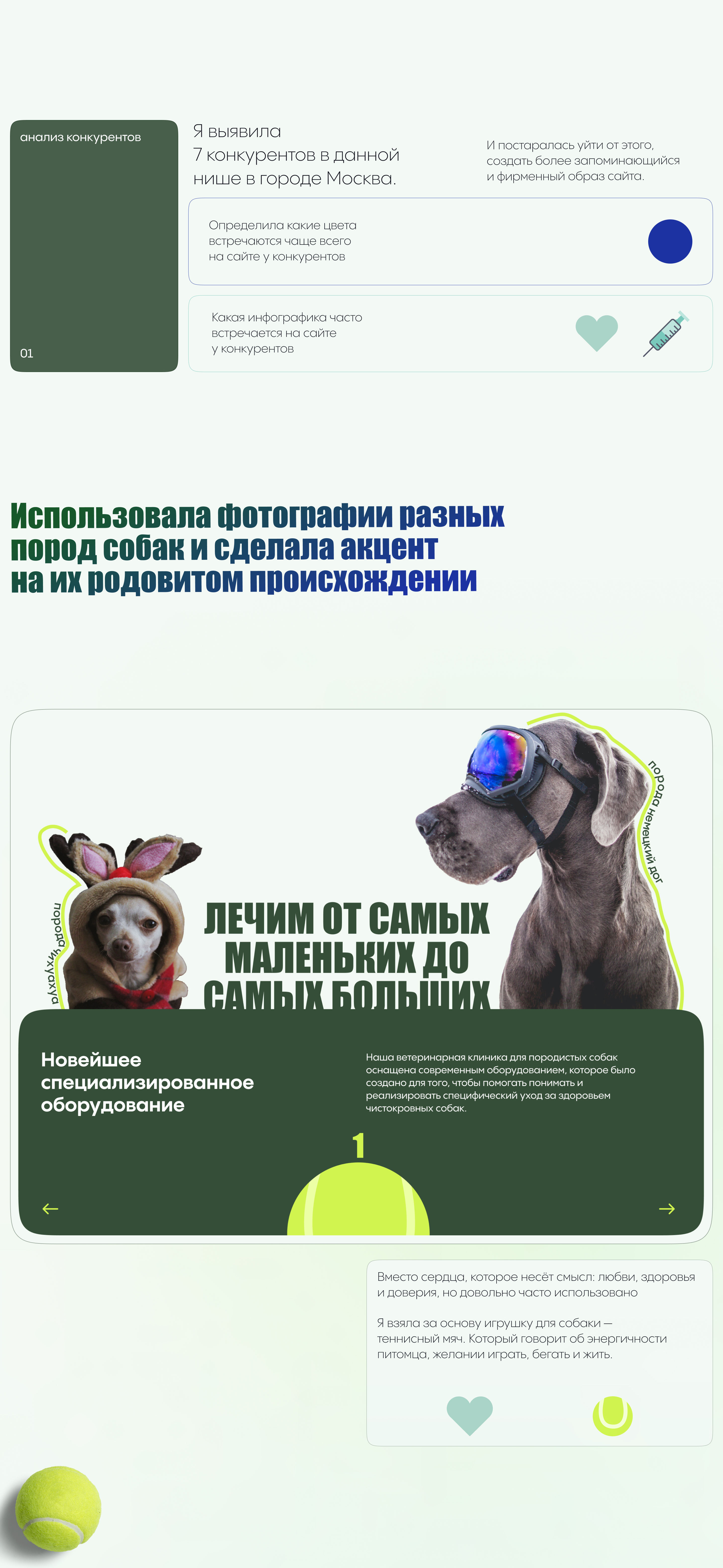 Landing для ветеринарной клиники. Docdog — Изображение №6 — Интерфейсы на Dprofile