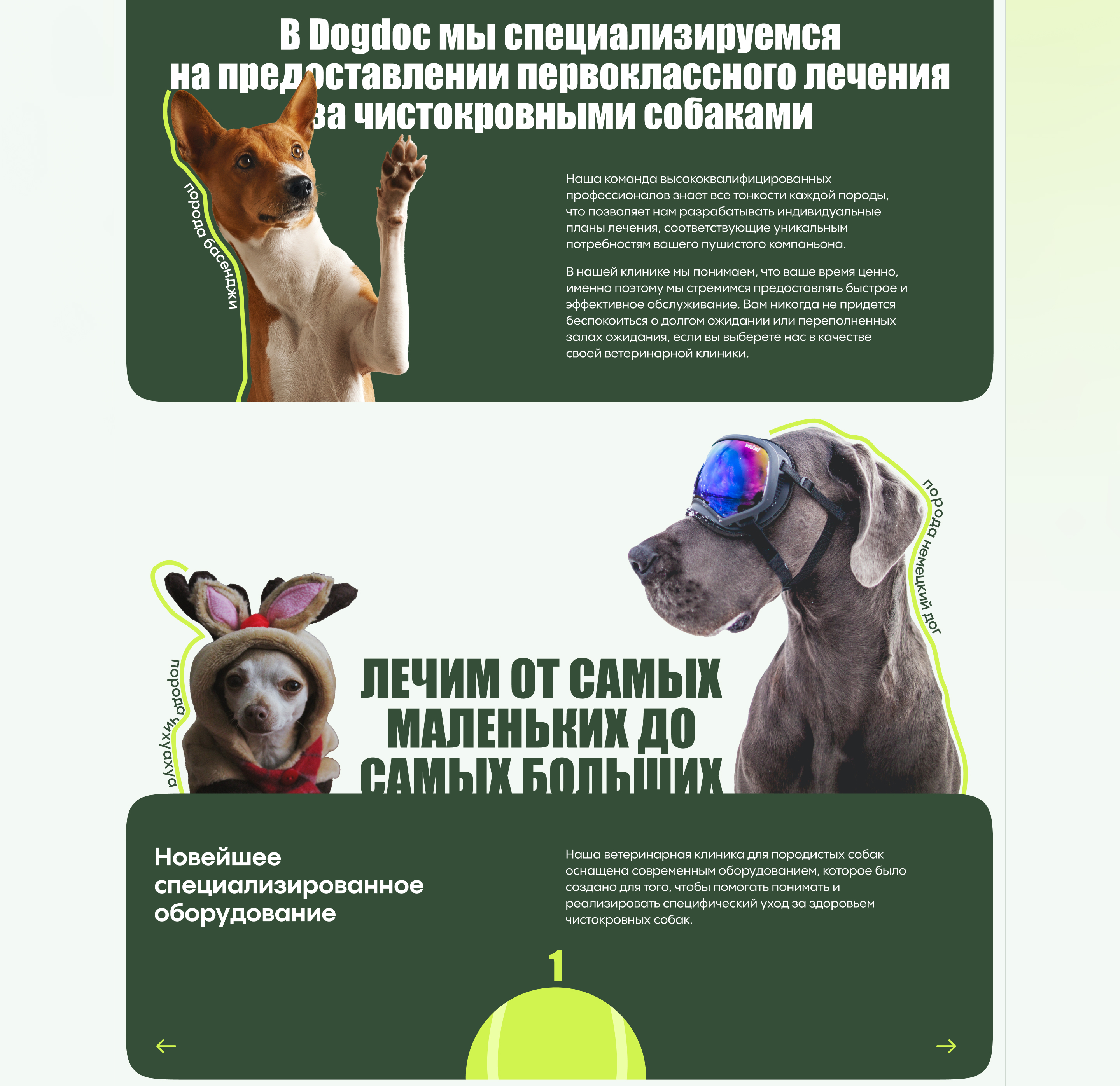 Landing для ветеринарной клиники. Docdog — Изображение №15 — Интерфейсы на Dprofile