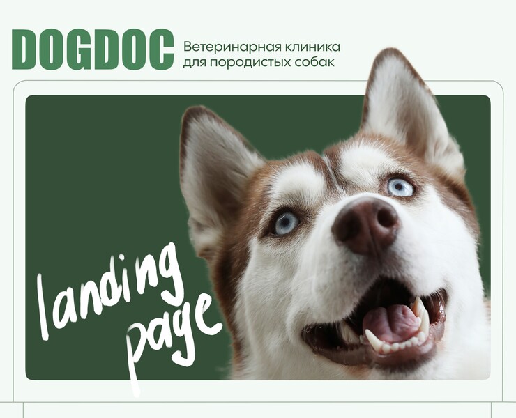 Landing для ветеринарной клиники. Docdog на Dprofile