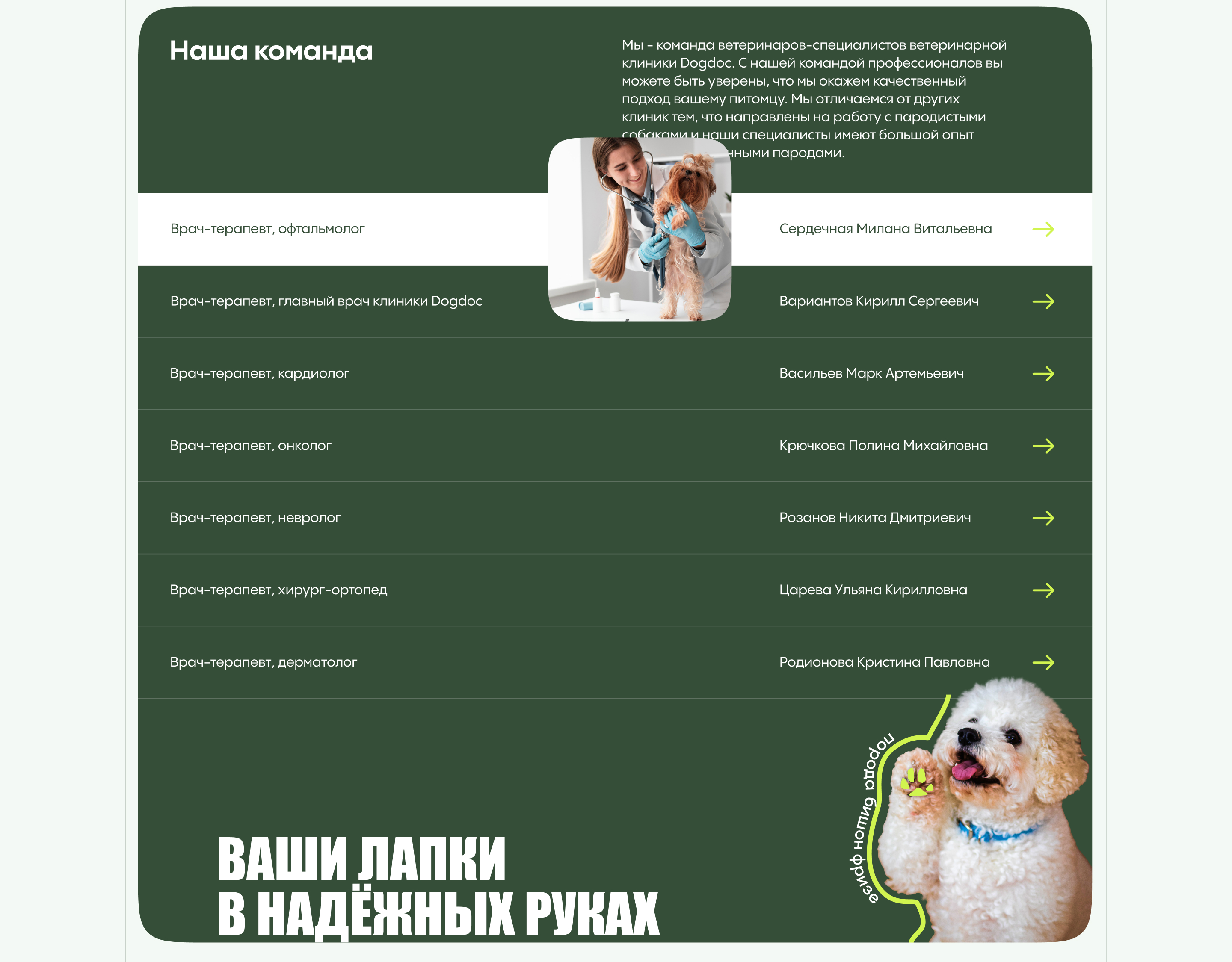 Landing для ветеринарной клиники. Docdog — Изображение №16 — Интерфейсы на Dprofile