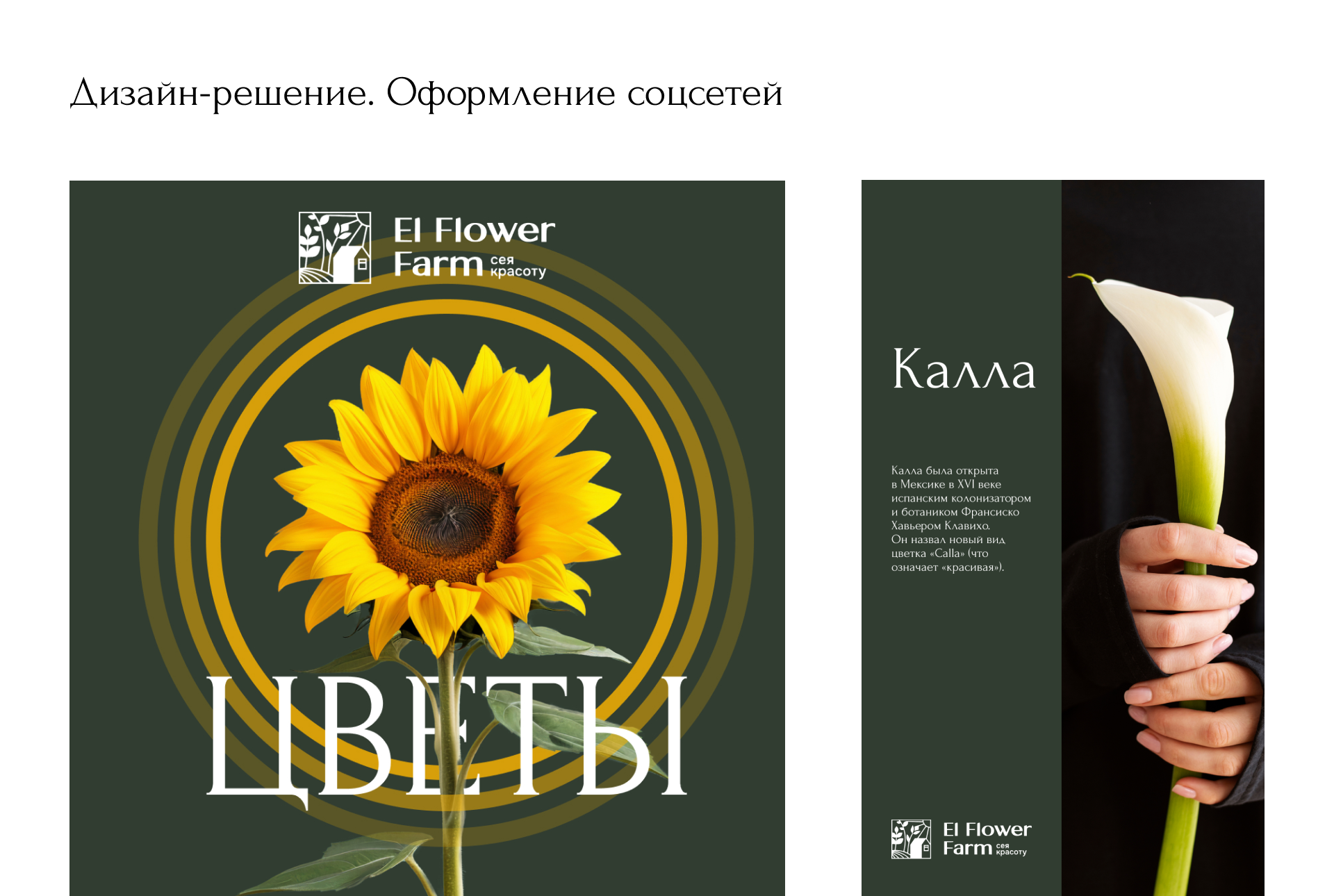Презентация рекламных баннеров для ВК и Яндекс — Изображение №4 — Маркетинг на Dprofile