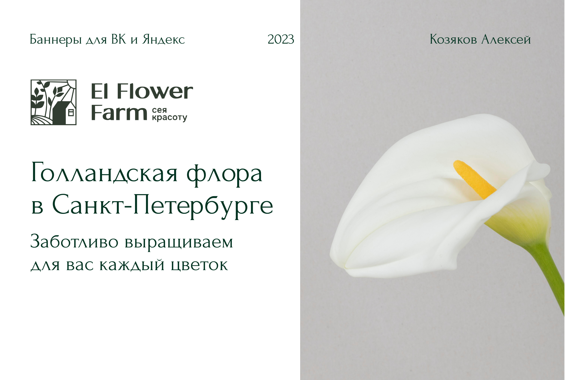 Презентация рекламных баннеров для ВК и Яндекс — Изображение №1 — Маркетинг на Dprofile