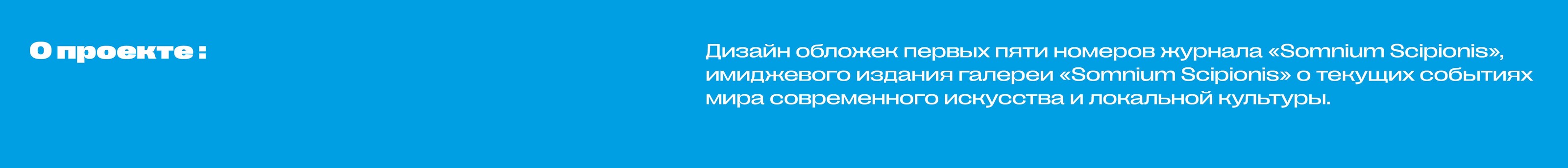 Дизайн обложек журнала «Somnium Scipionis» — Изображение №2 — Иллюстрация, Графика на Dprofile