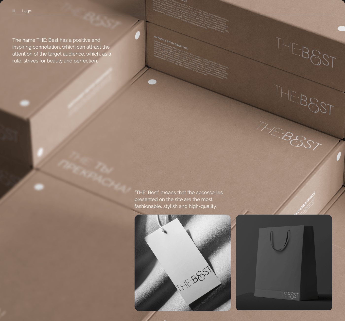 Accessories E-commerce Website — Изображение №10 — Интерфейсы, Графика на Dprofile
