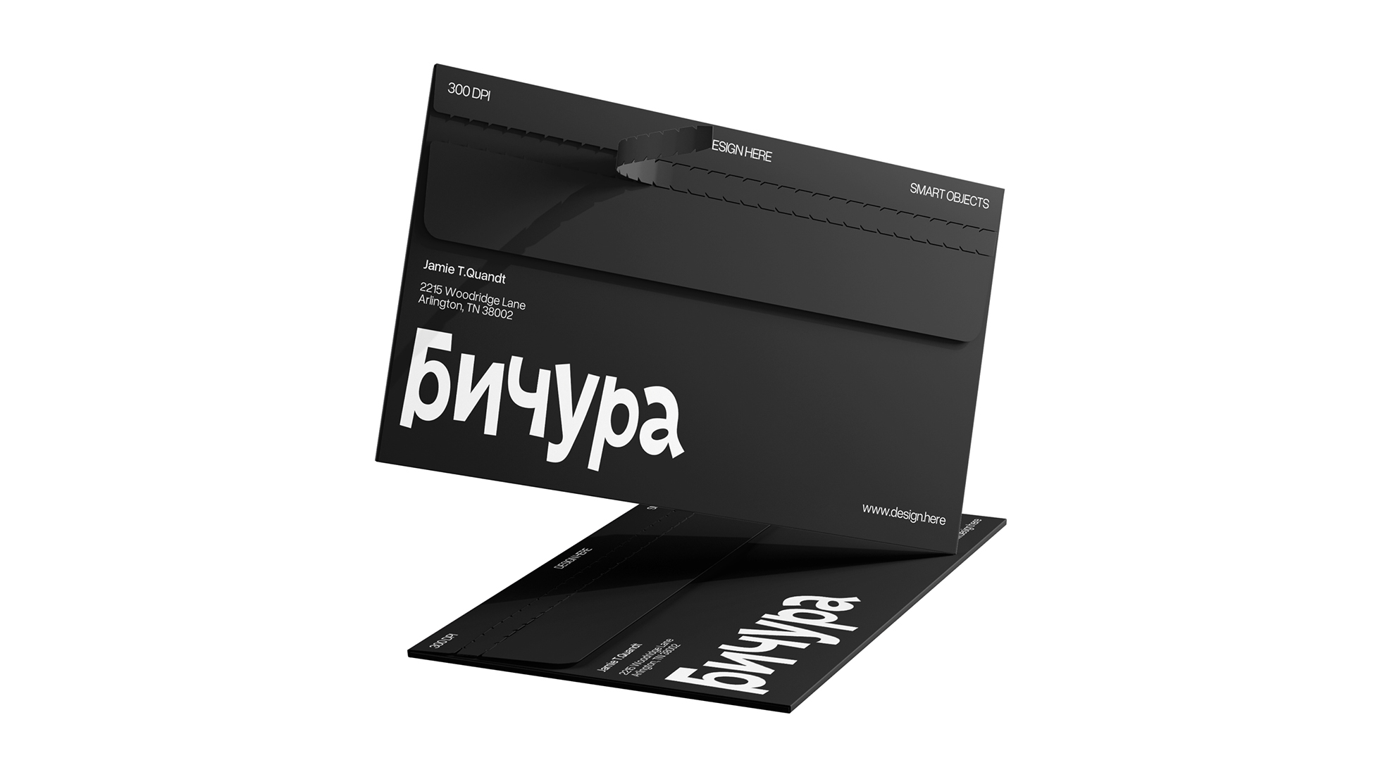 БИЧУРА — Изображение №5 — Брендинг, Графика на Dprofile
