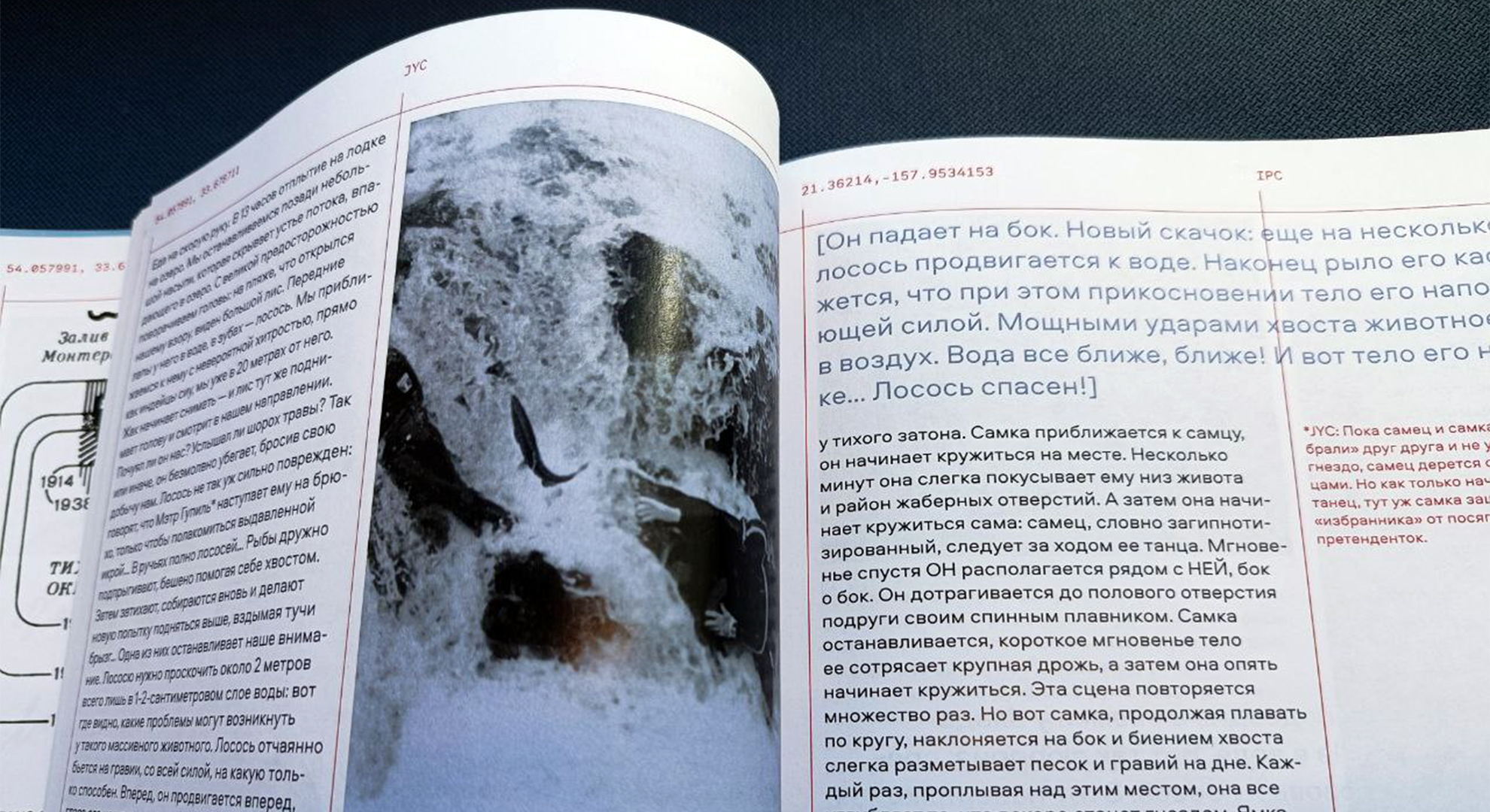 Путевые заметки из экспедиции Жака-Ива Кусто — Изображение №29 — Графика на Dprofile