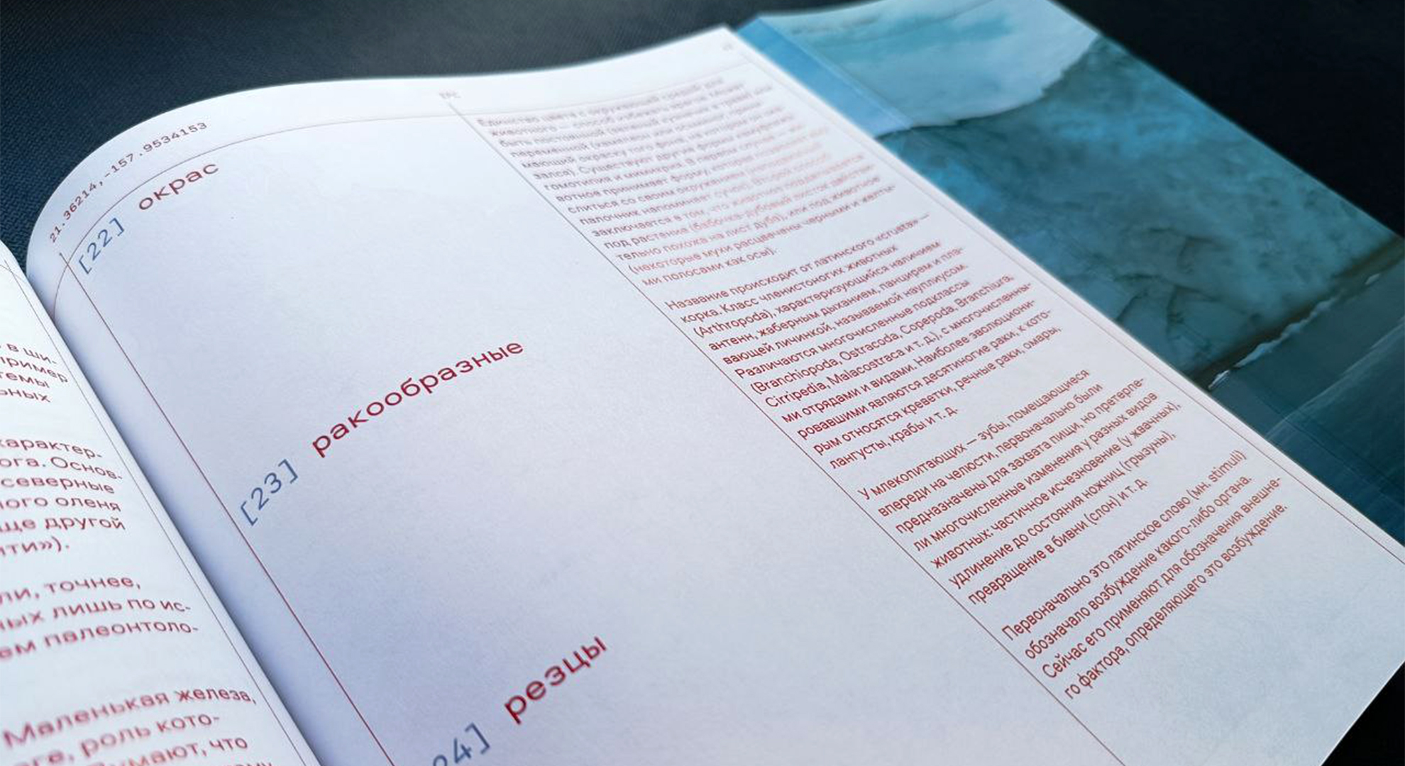 Путевые заметки из экспедиции Жака-Ива Кусто — Изображение №42 — Графика на Dprofile