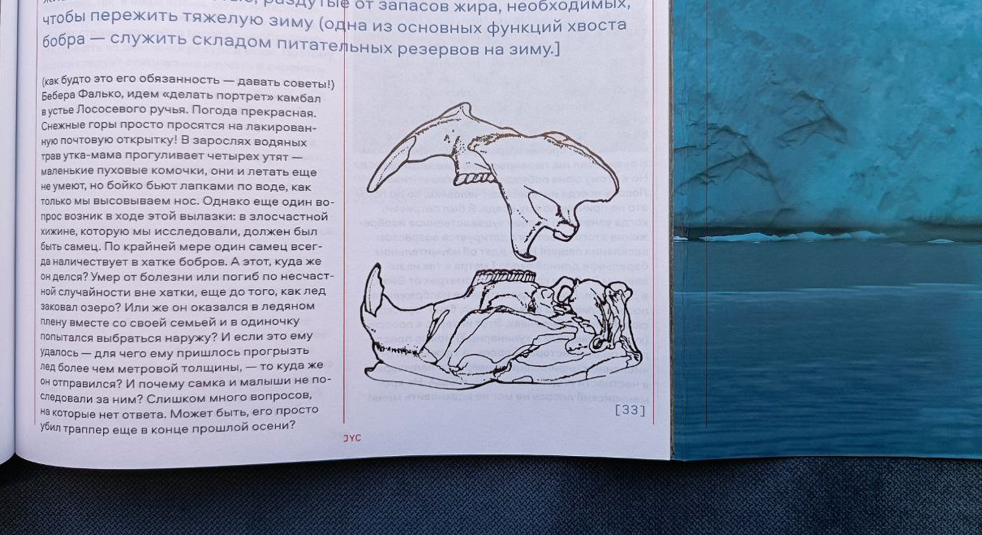 Путевые заметки из экспедиции Жака-Ива Кусто — Изображение №39 — Графика на Dprofile