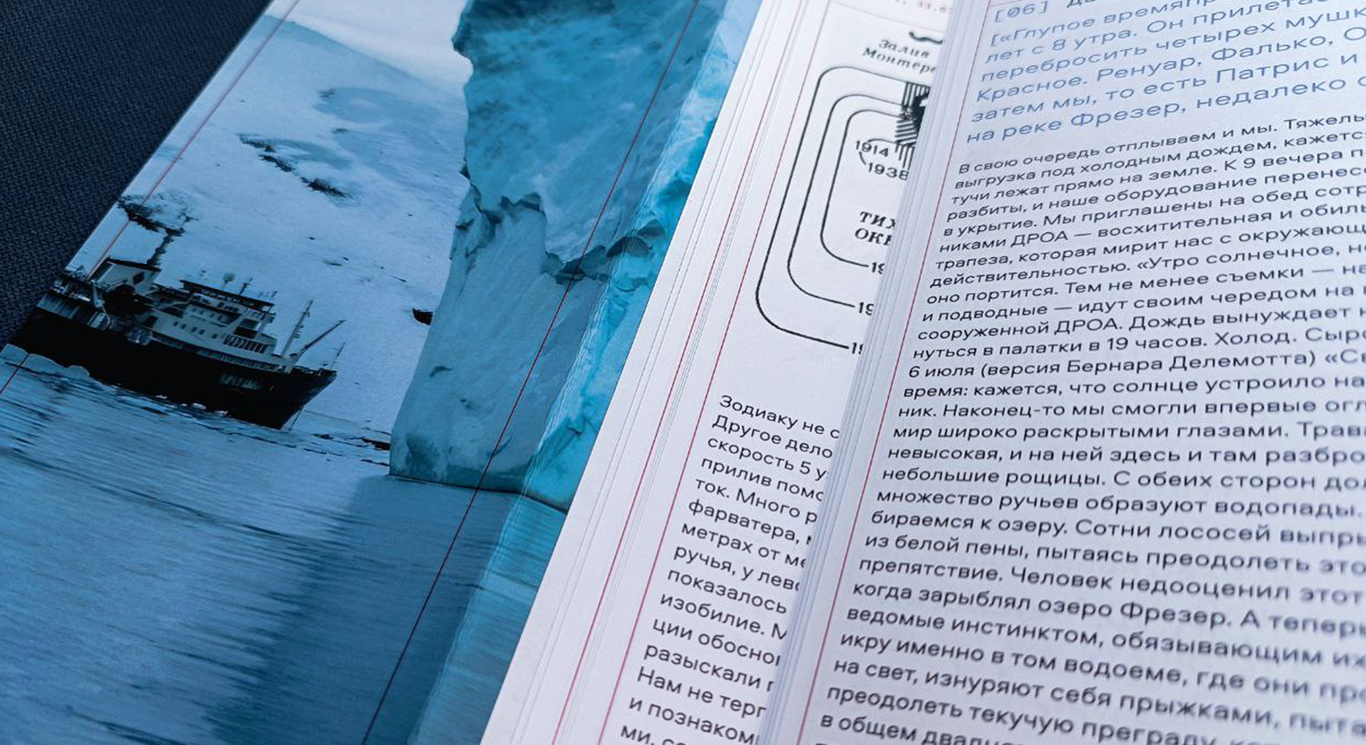 Путевые заметки из экспедиции Жака-Ива Кусто — Изображение №35 — Графика на Dprofile