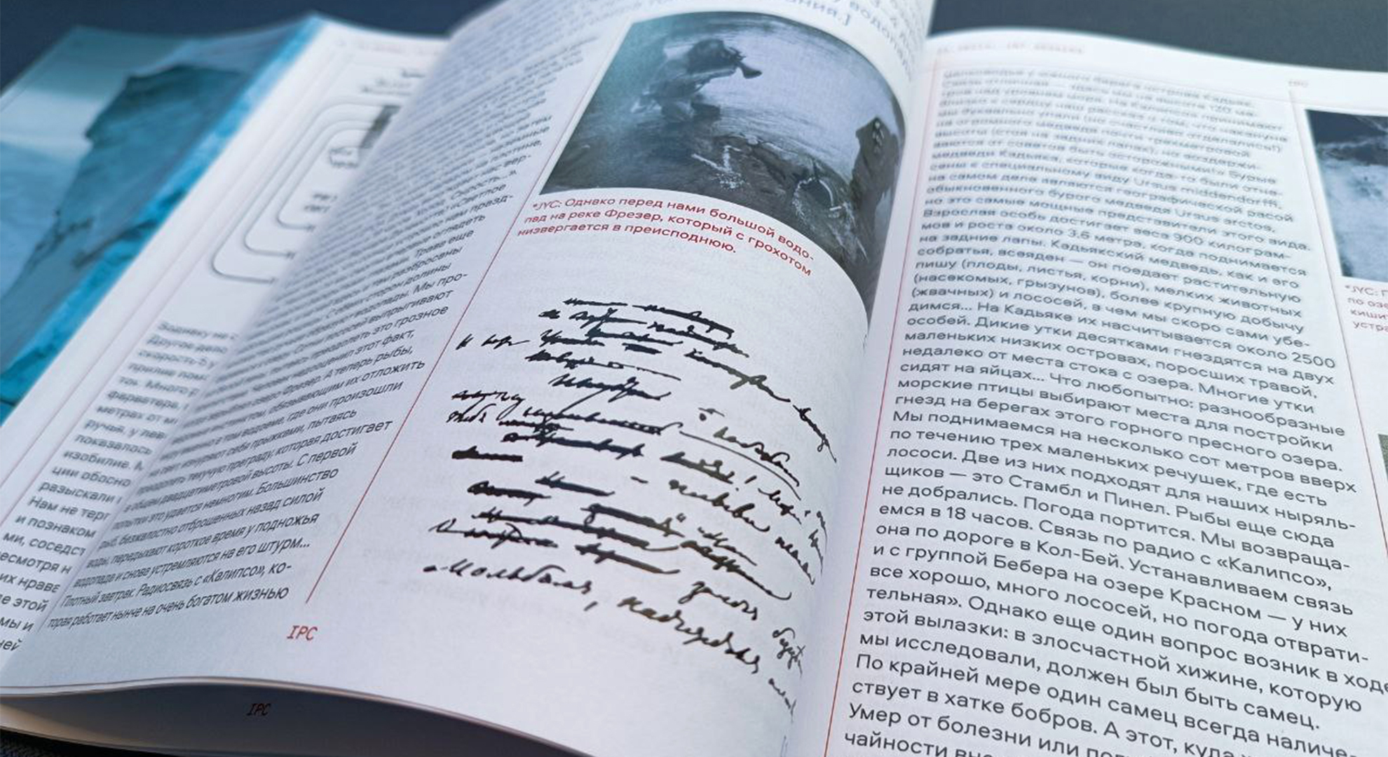 Путевые заметки из экспедиции Жака-Ива Кусто — Изображение №31 — Графика на Dprofile