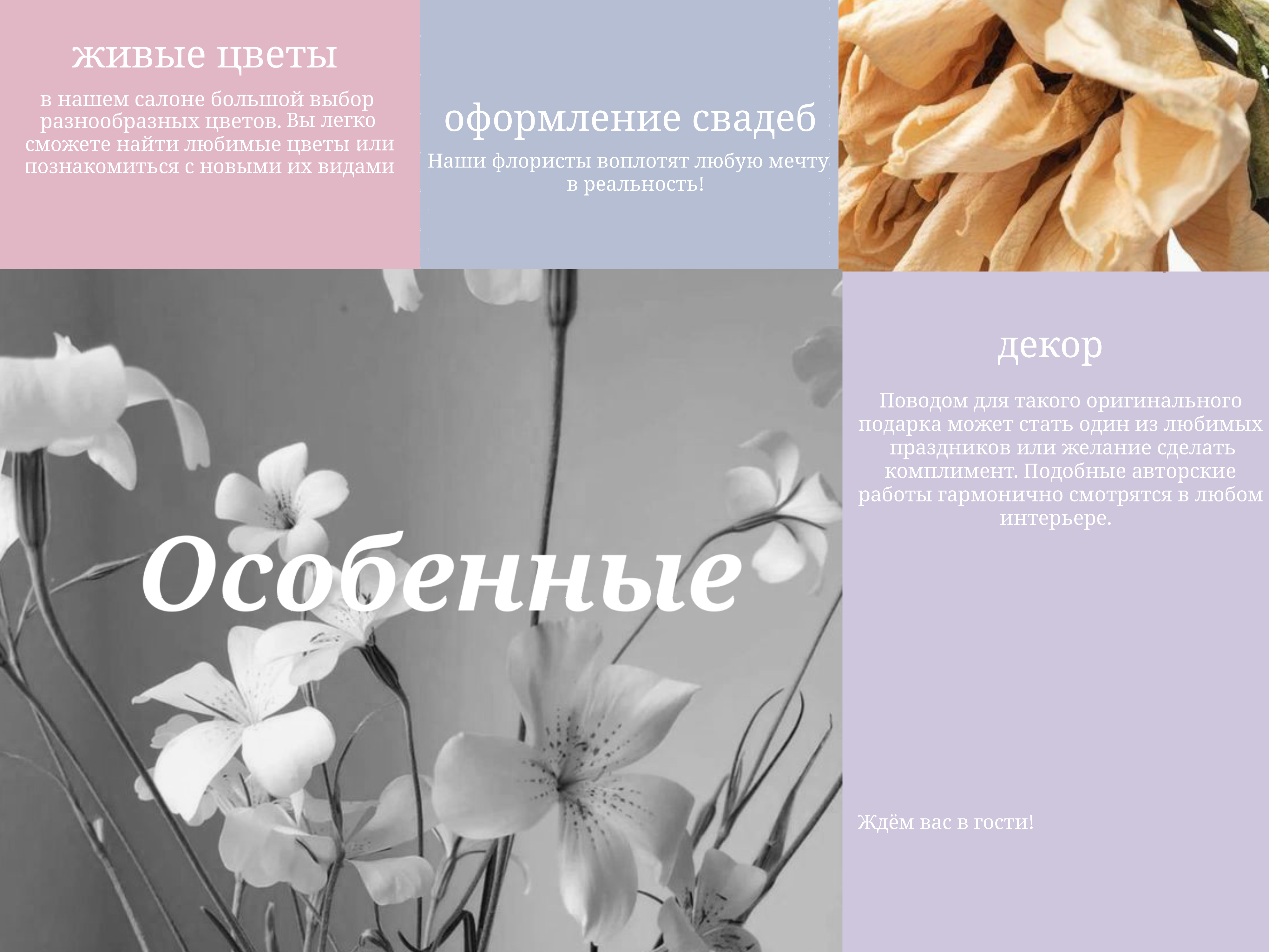 Дизайн брошюры для цветочного магазина — Изображение №2 — Брендинг, Маркетинг на Dprofile