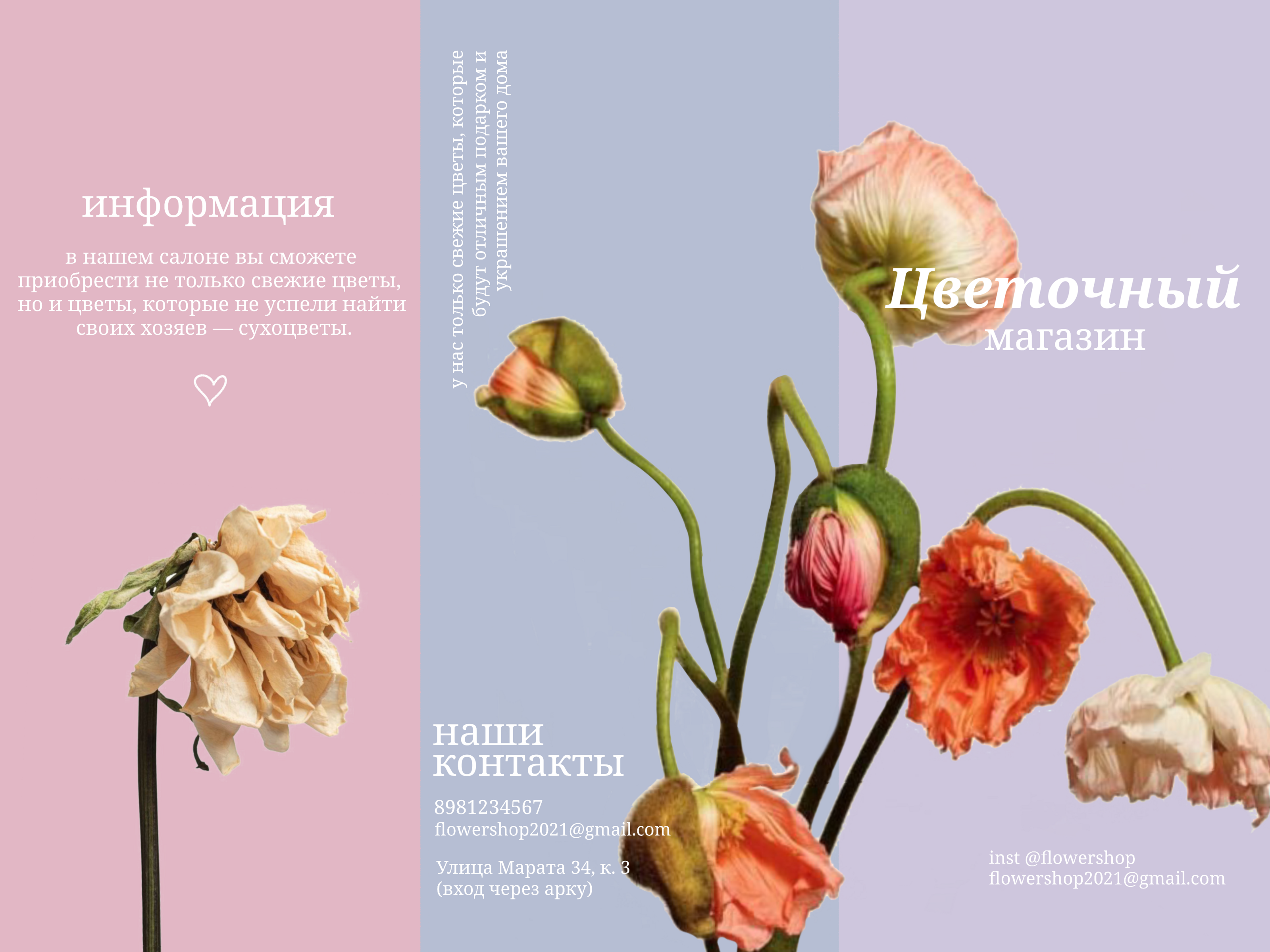 Дизайн брошюры для цветочного магазина — Изображение №1 — Брендинг, Маркетинг на Dprofile