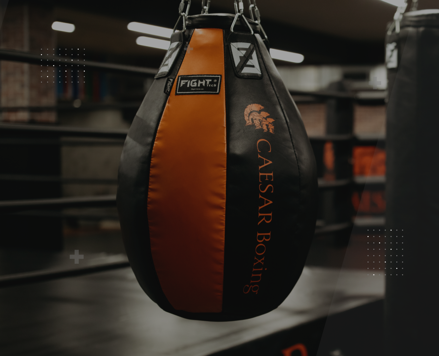 CAESAR BOXING GYM — Интерфейсы на Dprofile