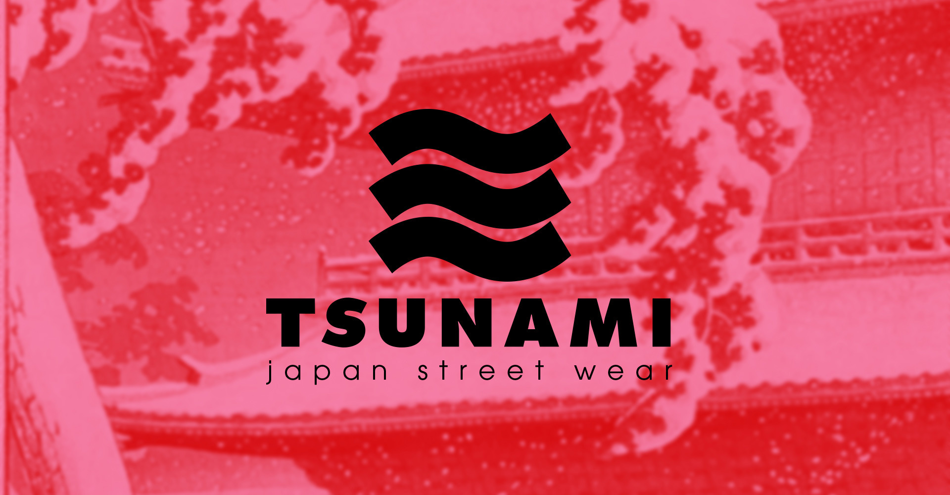Tsunami streetwear — Изображение №1 — Брендинг на Dprofile