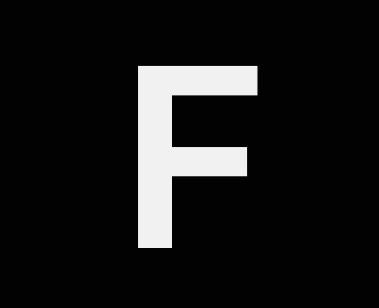Fontshare — Интерфейсы, Анимация на Dprofile