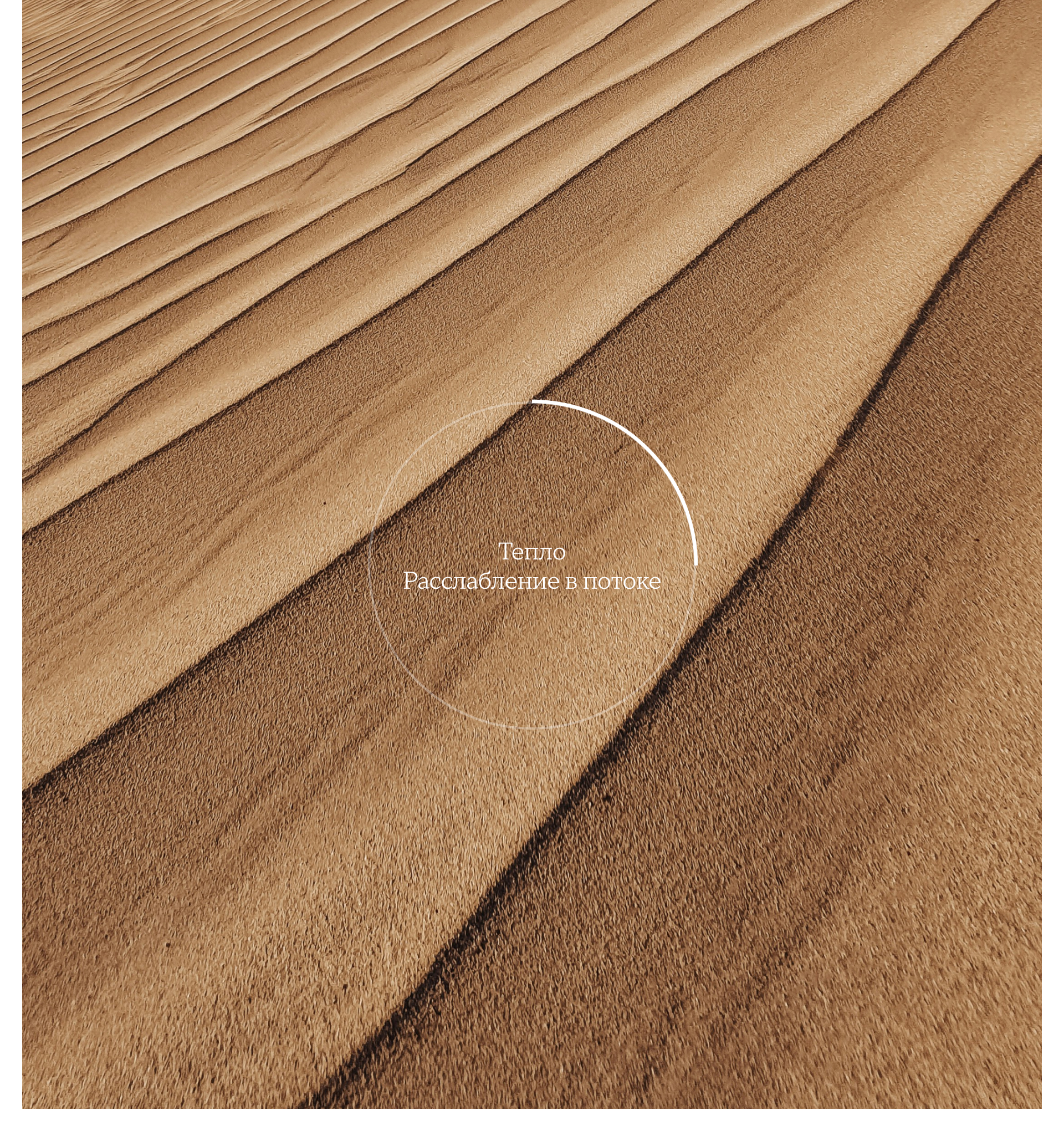 Wellness Club by W’one Hotels — Изображение №1 — Интерфейсы, Анимация на Dprofile