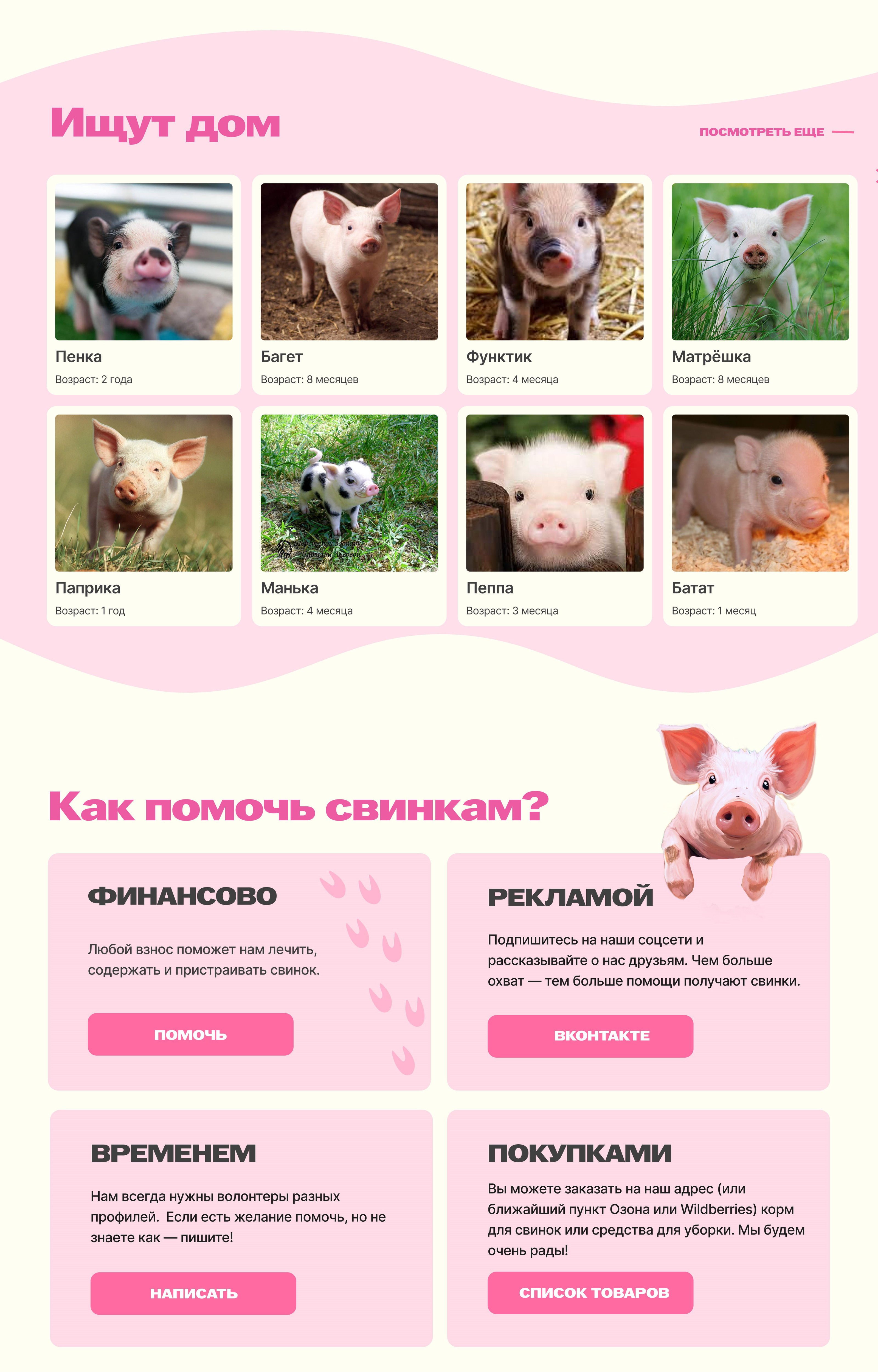 Хрюня сайт приюта для свинок | website for pigs — Изображение №4 — Интерфейсы на Dprofile