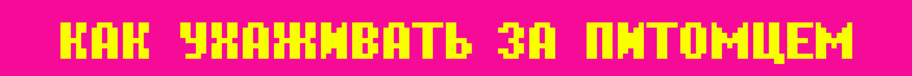 Tamagotchi creative website — Изображение №7 — Интерфейсы, Анимация на Dprofile