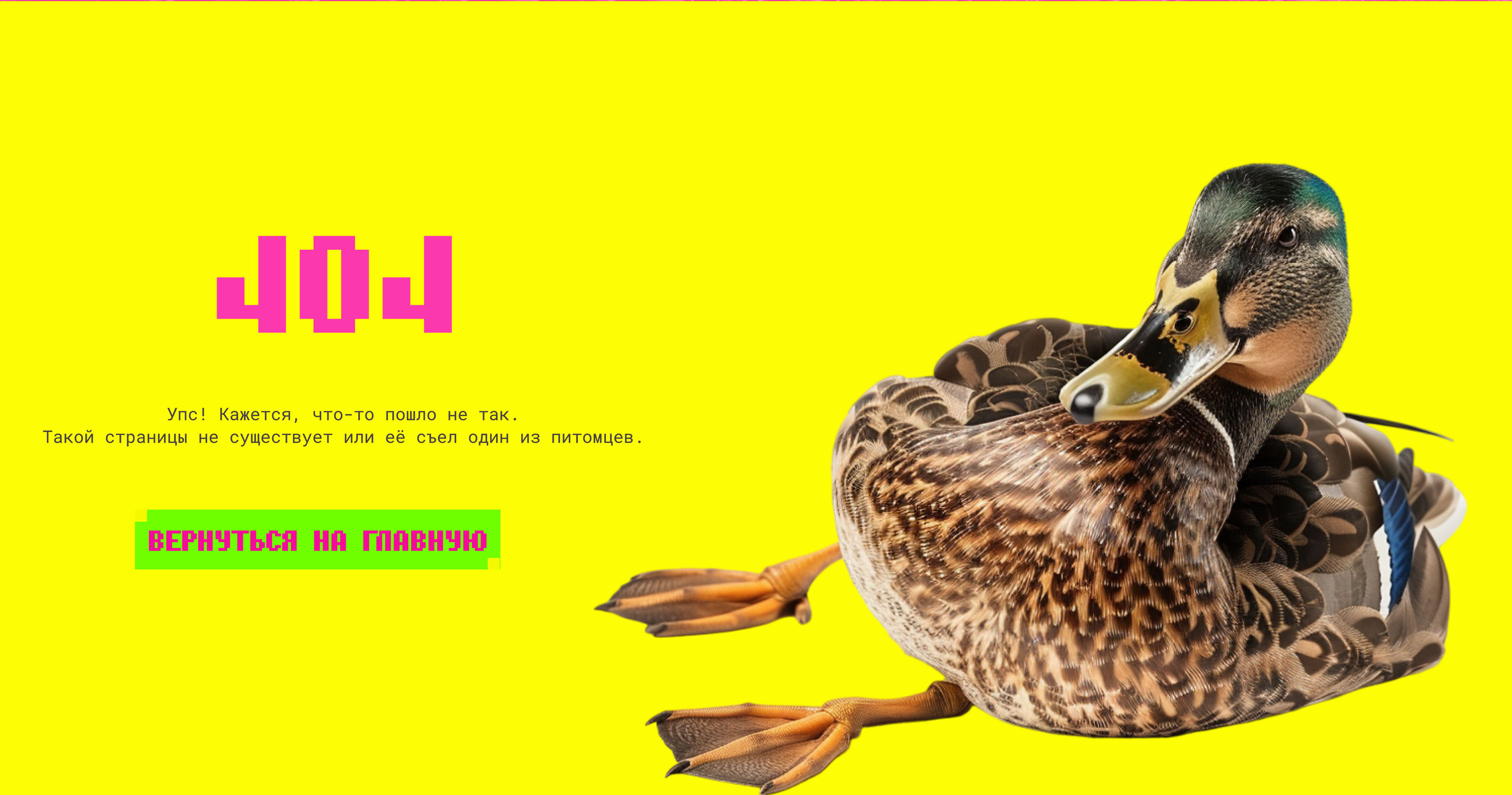 Tamagotchi creative website — Изображение №14 — Интерфейсы, Анимация на Dprofile