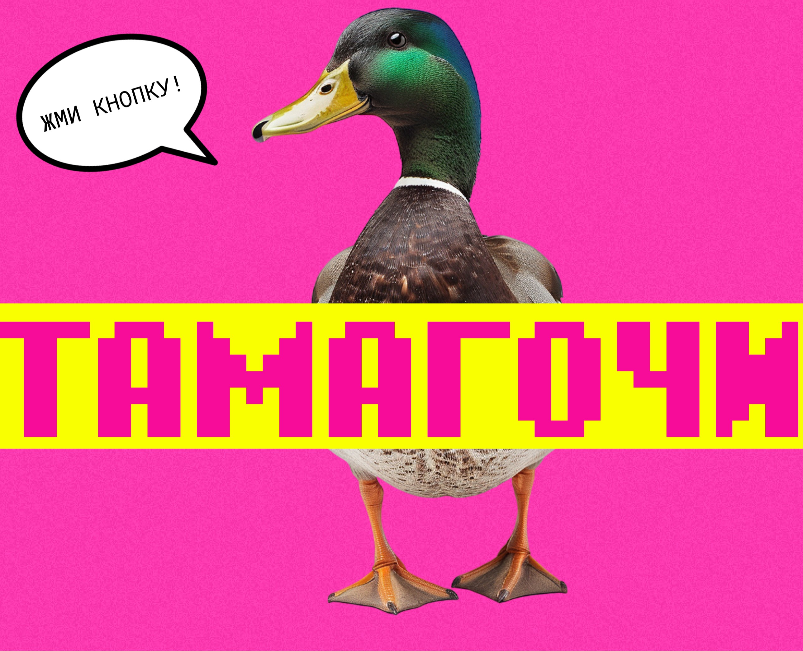 Tamagotchi creative website на Dprofile