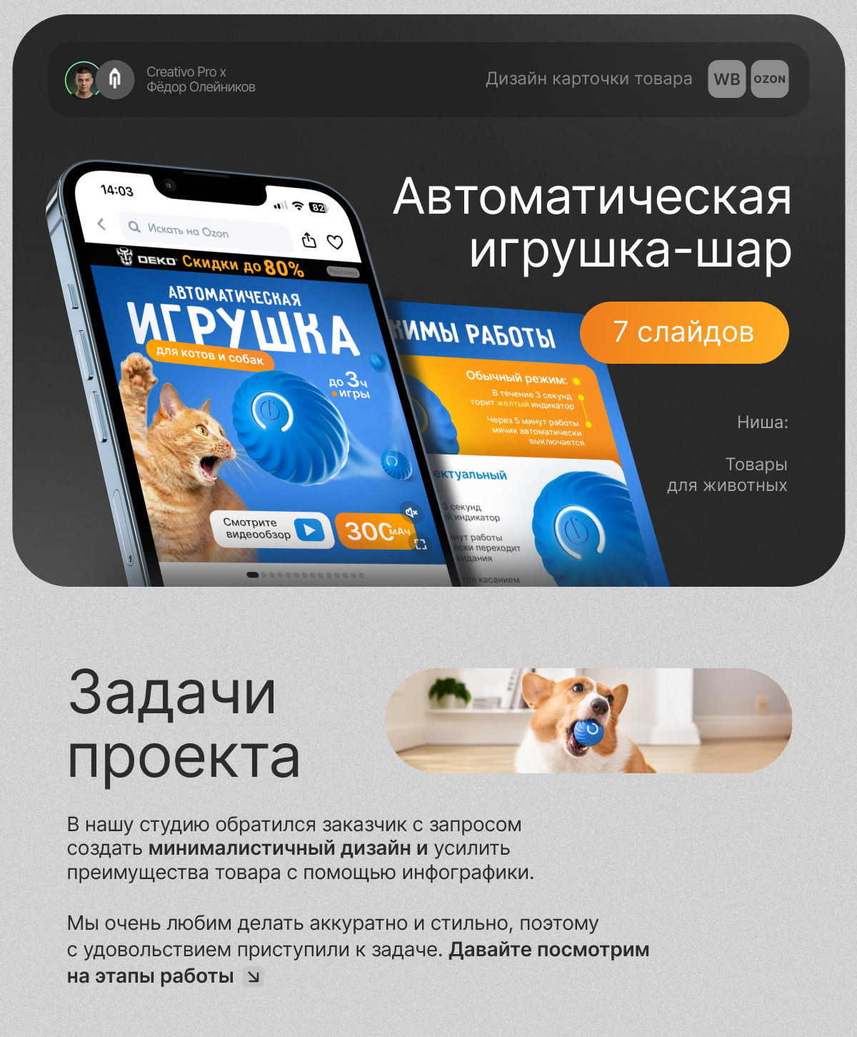 Дизайн карточки товара "Игрушка шар" — Изображение №1 — Графика, Маркетинг на Dprofile