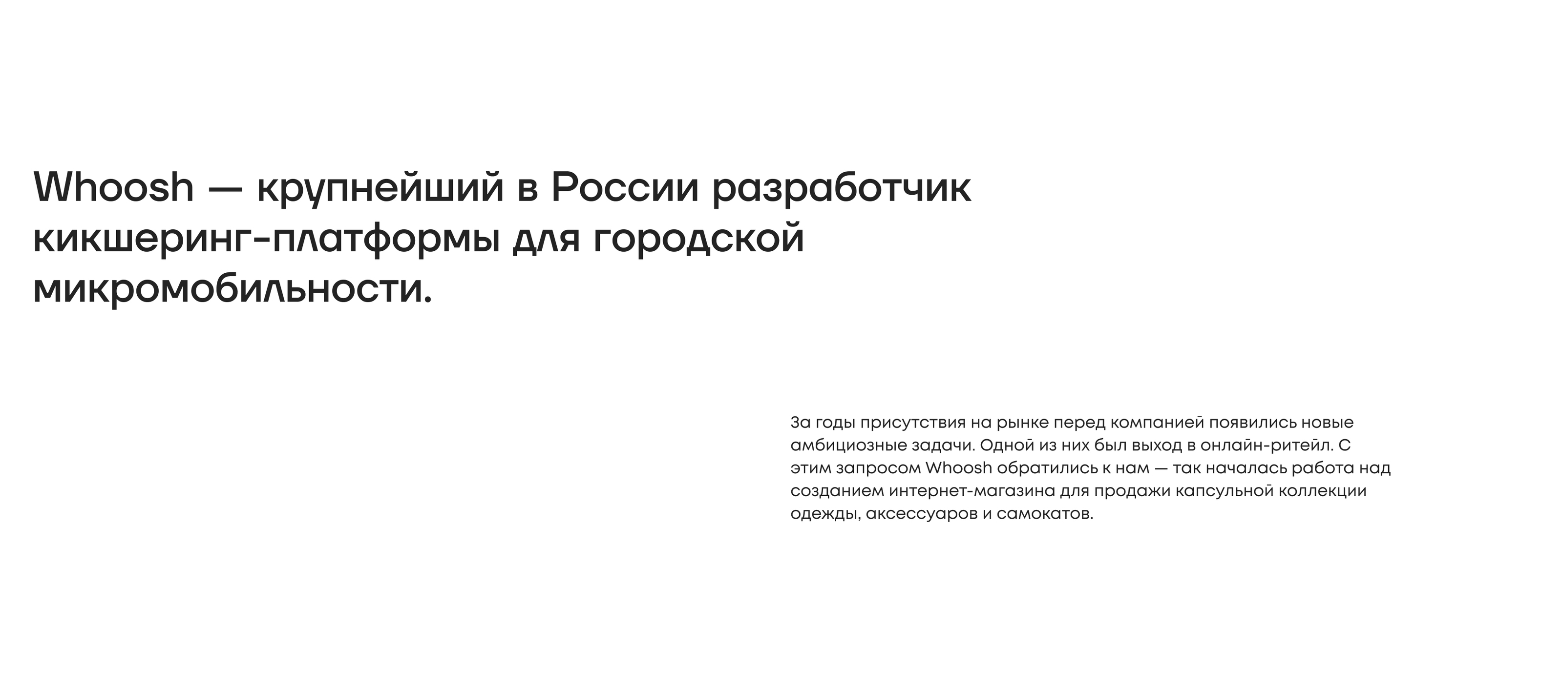Интернет-магазин Whoosh — Изображение №3 — Интерфейсы, Брендинг на Dprofile