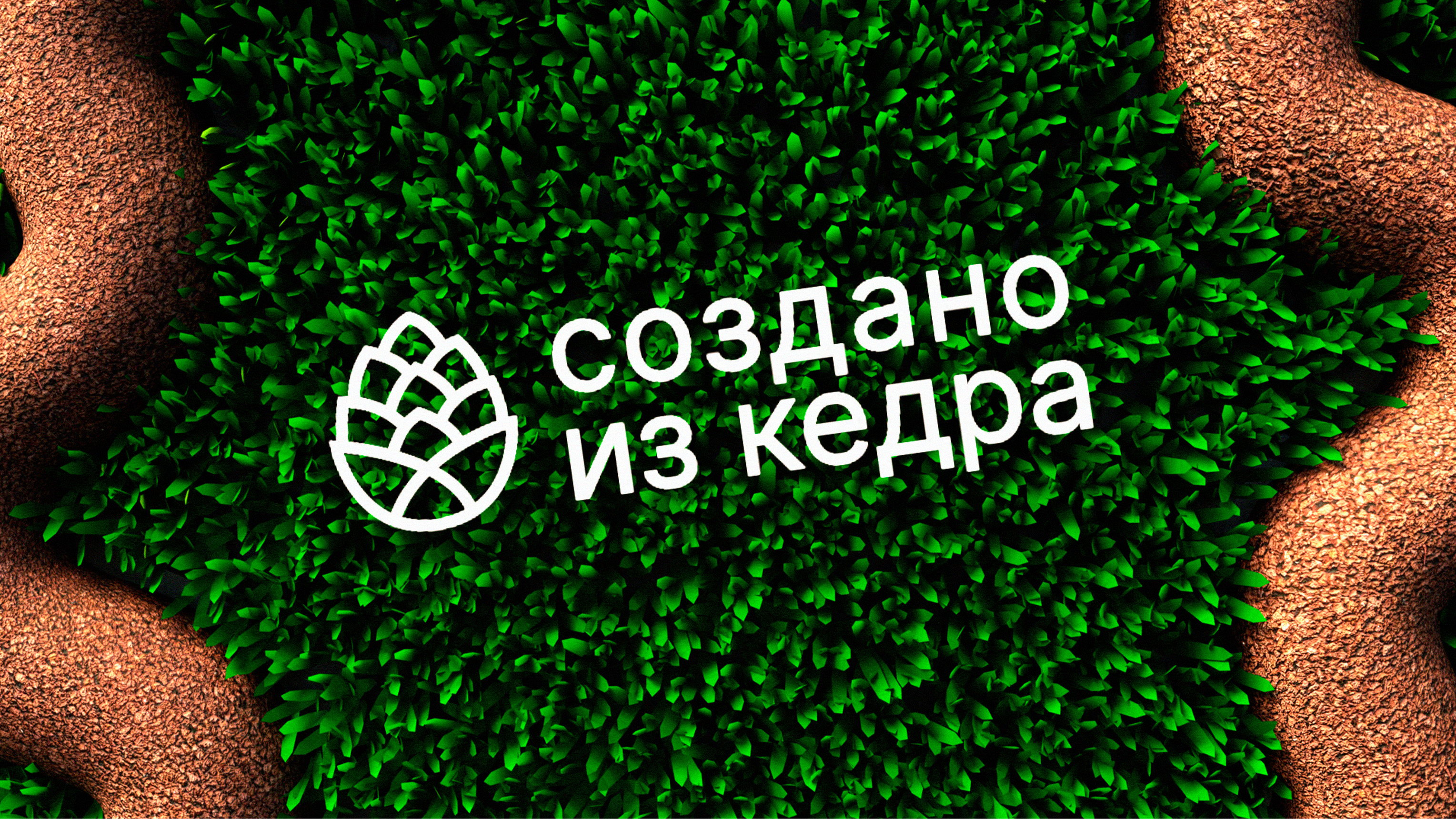 CHEWY PACKAGING — Изображение №2 — Брендинг, 3D на Dprofile