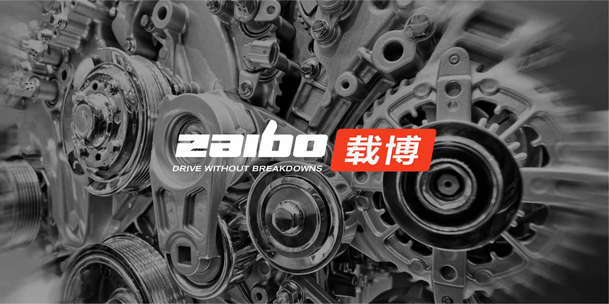 ZAIBO — Изображение №1 — Брендинг на Dprofile