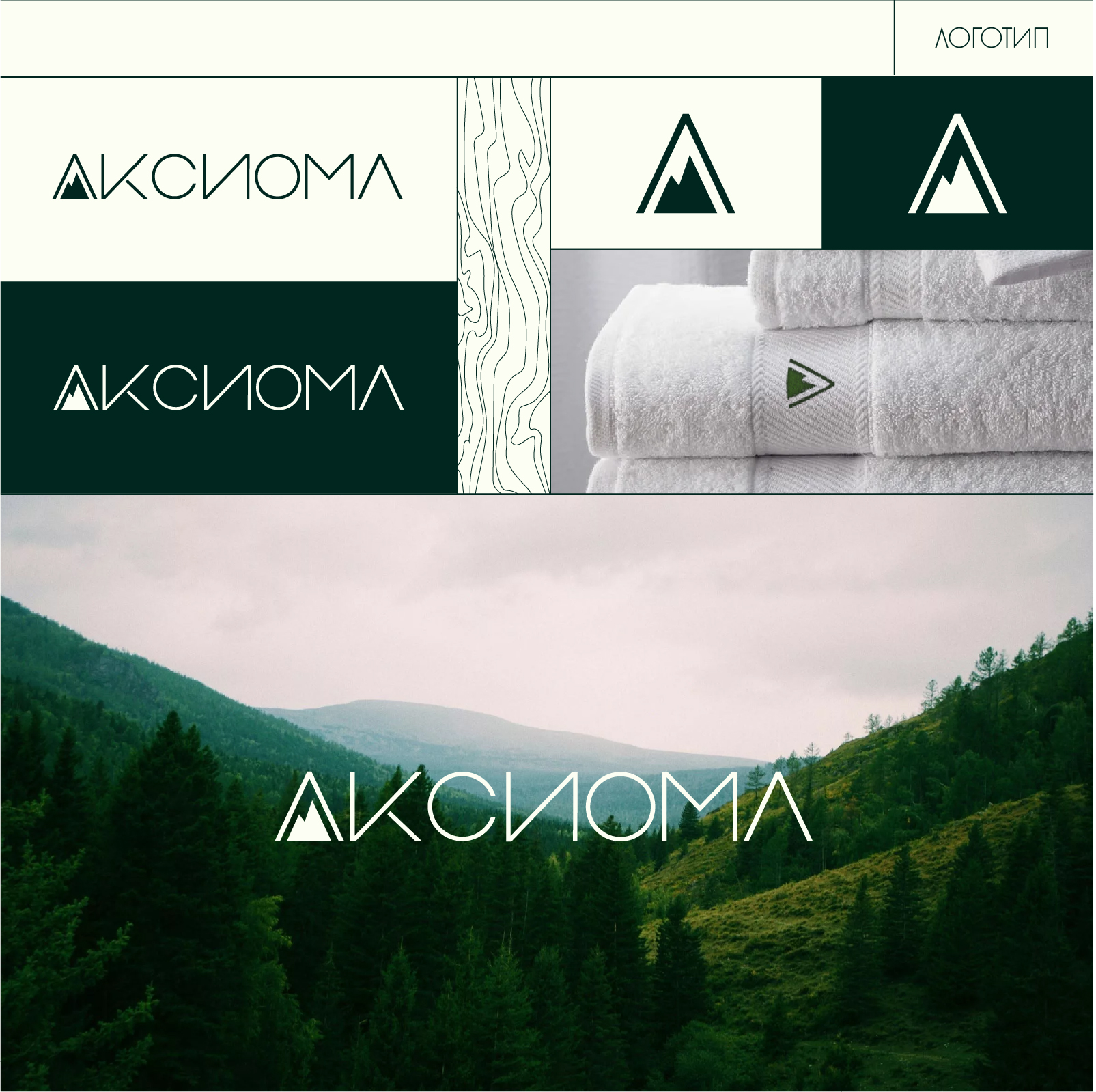 Алтай Аксиома. Бутик-отель на Алтае — Изображение №2 — Брендинг на Dprofile