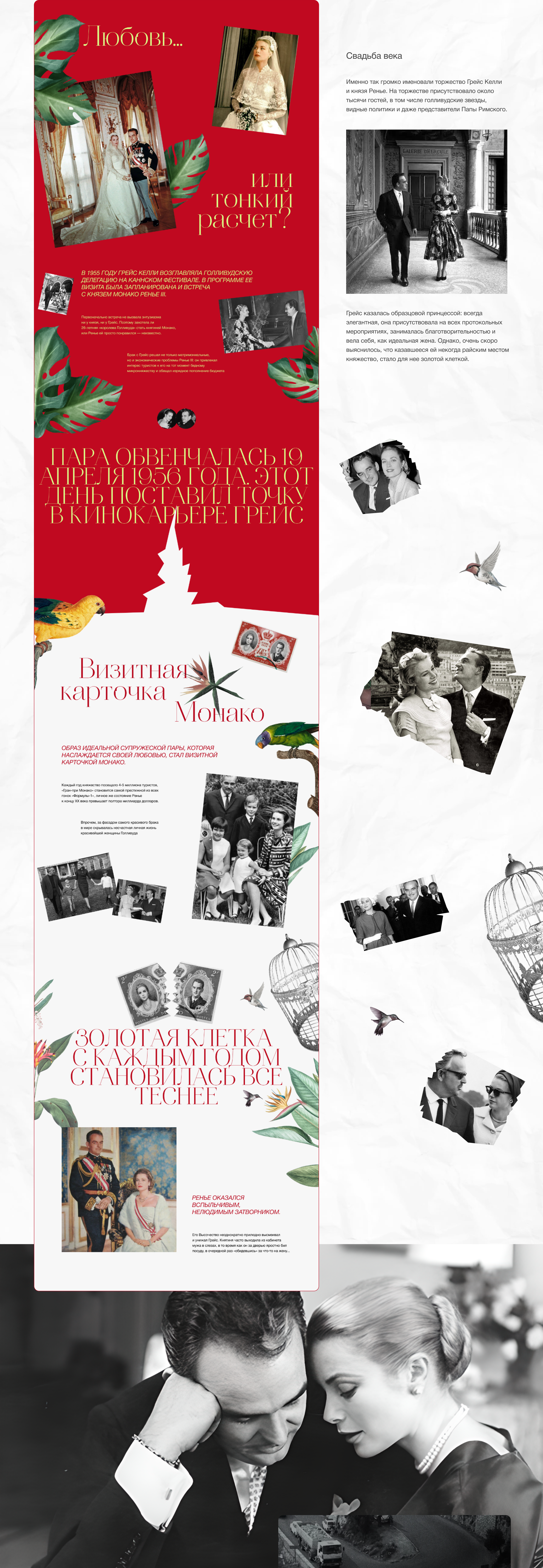 Biography of Grace Kelly | Longread — Изображение №4 — Интерфейсы на Dprofile