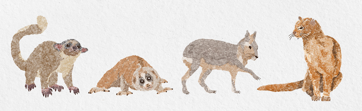 Animals — Изображение №5 — Брендинг, Иллюстрация на Dprofile
