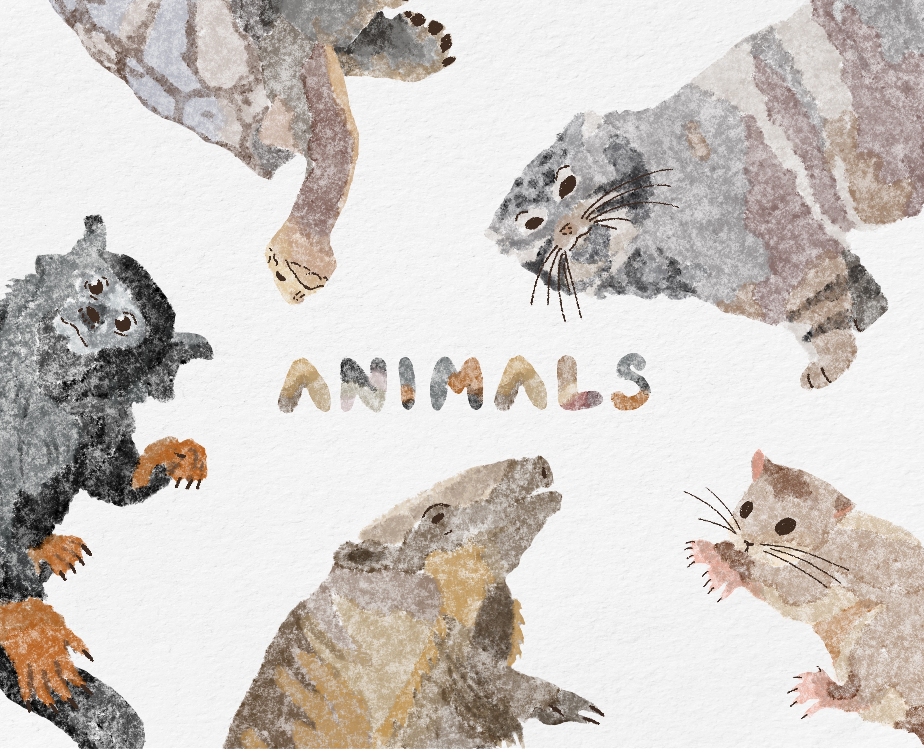 Animals — Брендинг, Иллюстрация на Dprofile