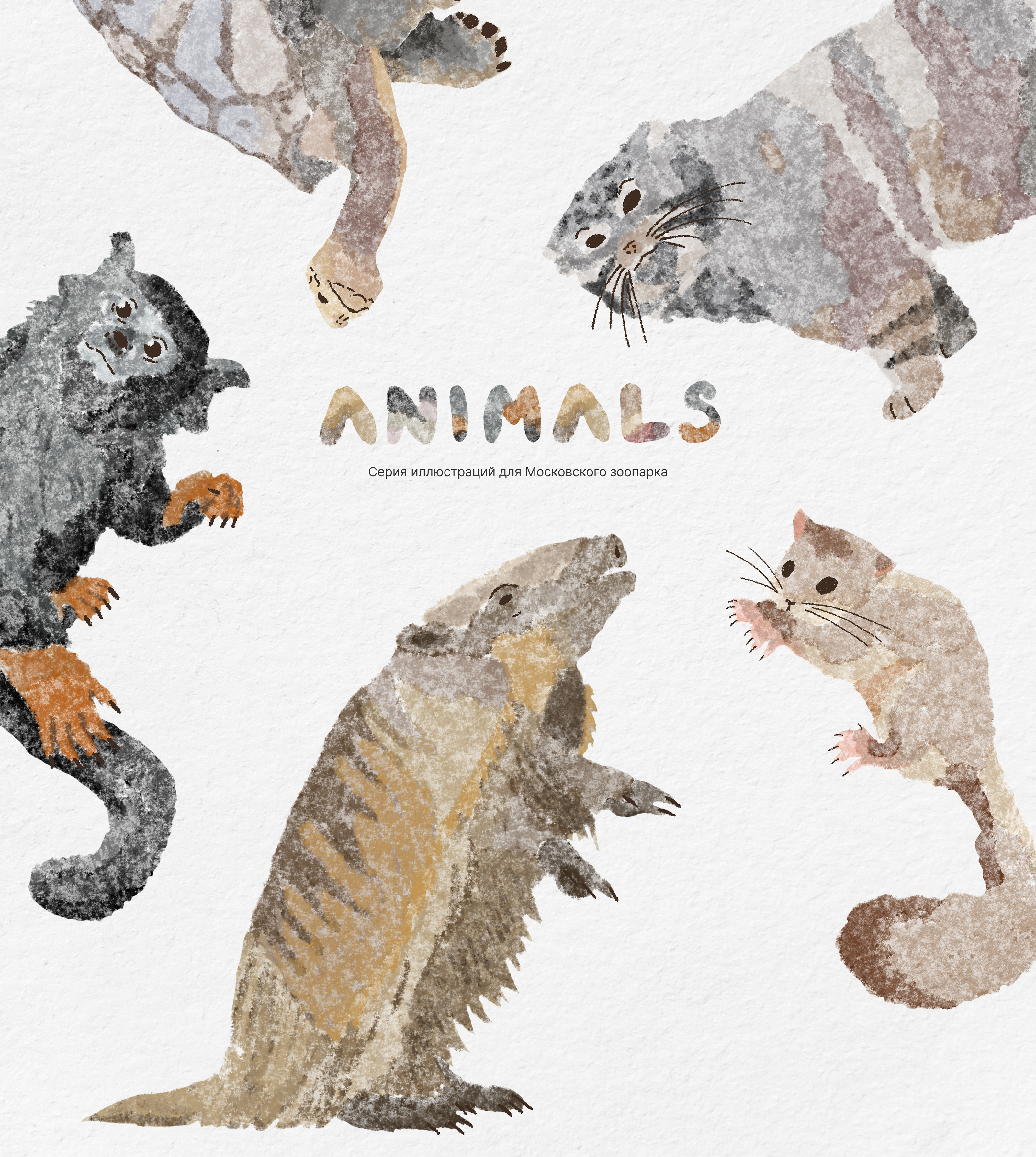 Animals — Изображение №1 — Брендинг, Иллюстрация на Dprofile