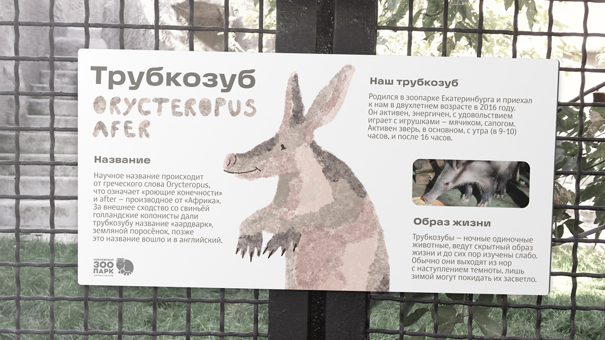 Animals — Изображение №15 — Брендинг, Иллюстрация на Dprofile