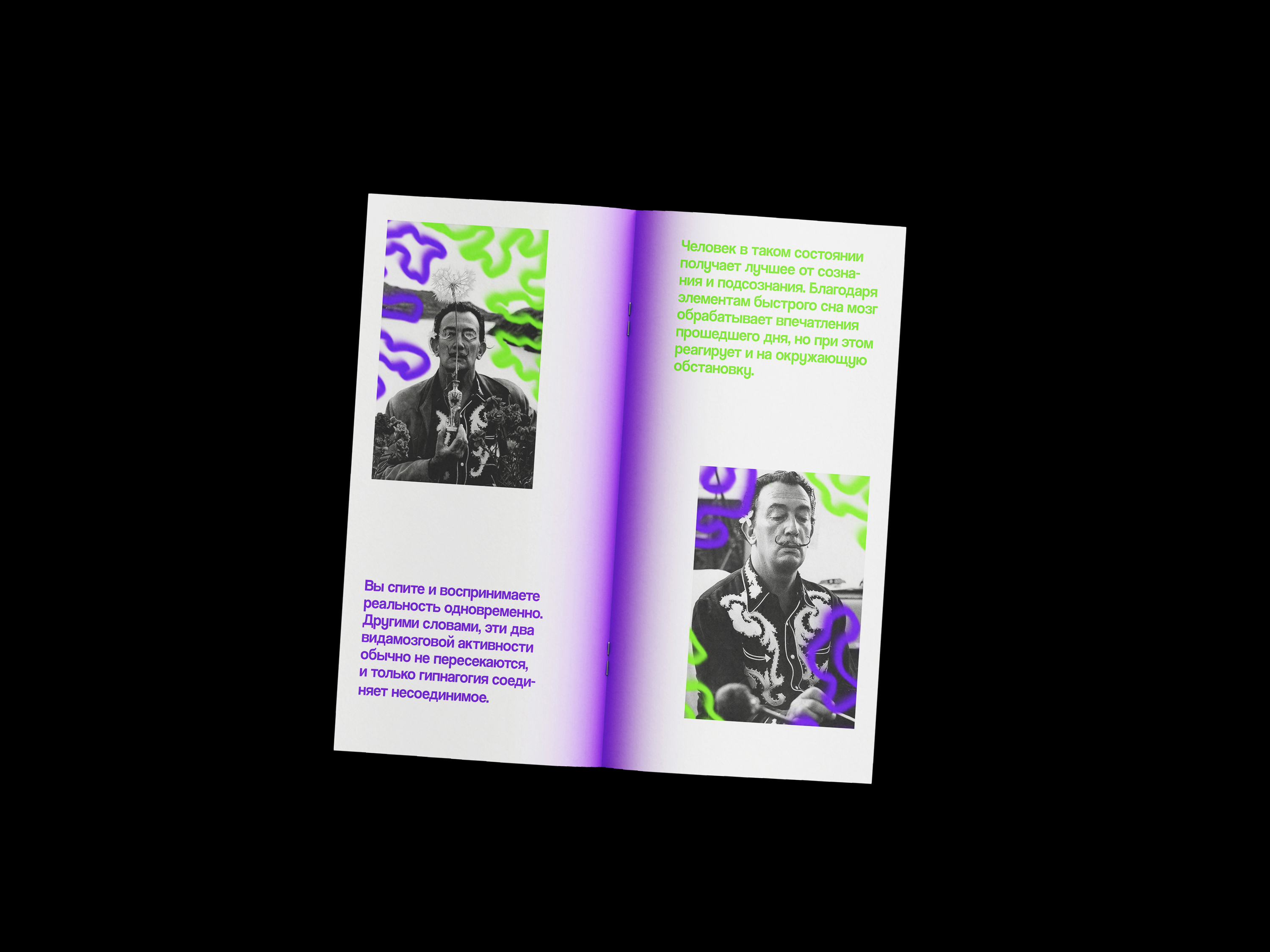 Буклет "Секрет сюрреалиста" — Изображение №4 — Графика на Dprofile