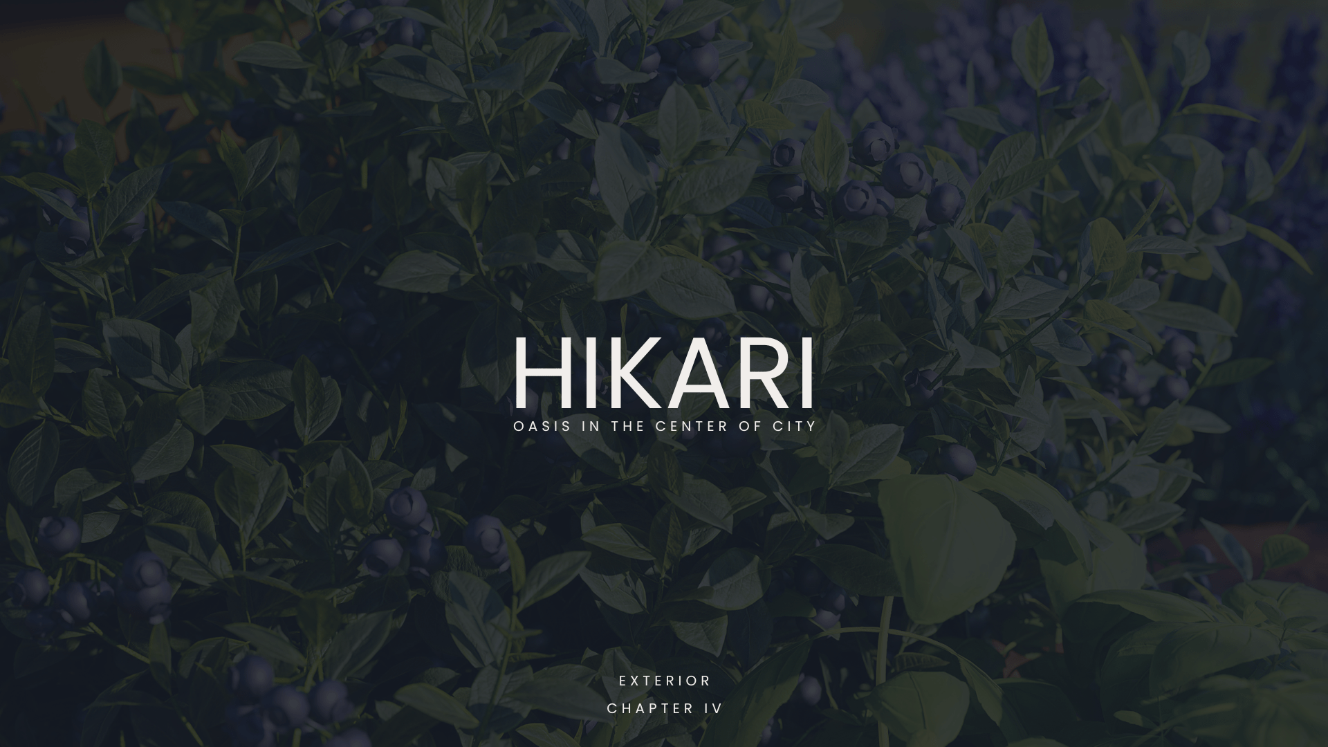 HIKARI. ЧАСТЬ 4. САД ТРАВ И СПЕЦИЙ — Изображение №1 — 3D на Dprofile