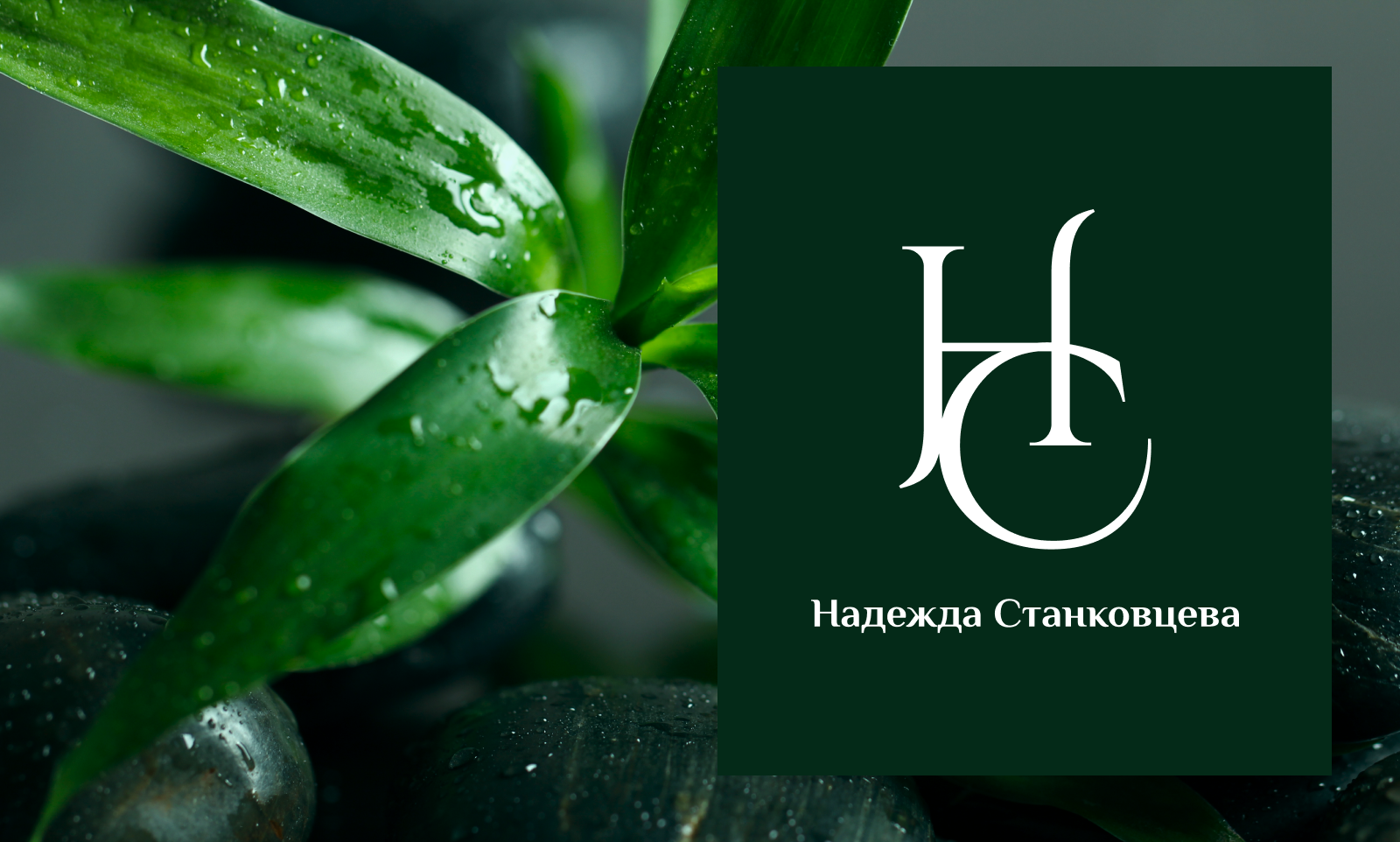 Логотип для студии косметологии НС — Изображение №1 — Брендинг на Dprofile